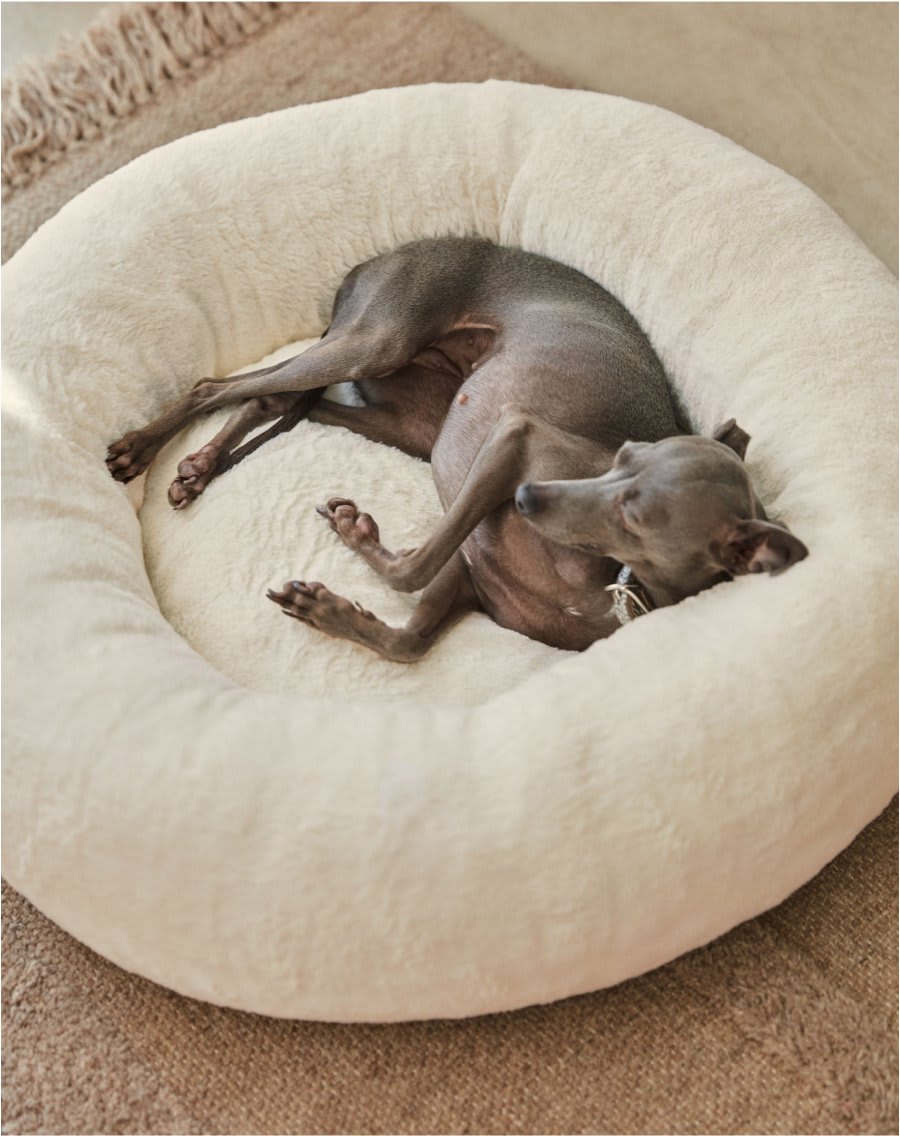 img-kave-pets-aw22-02-es.jpg