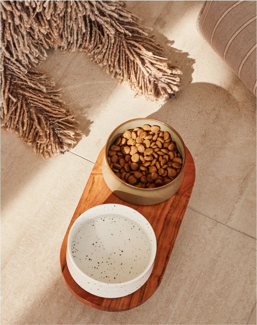 img-kave-pets-aw22-03-es.jpg