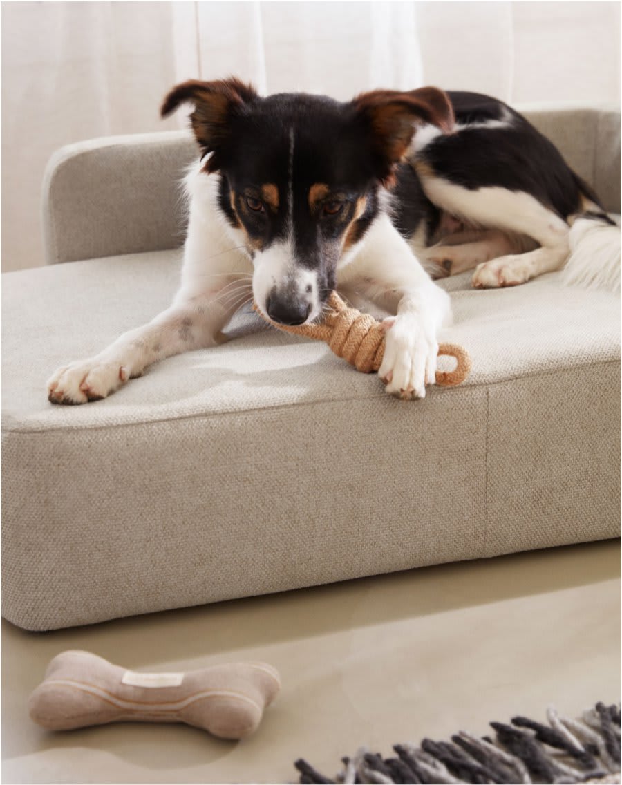 img-kave-pets-aw22-04-es.jpg