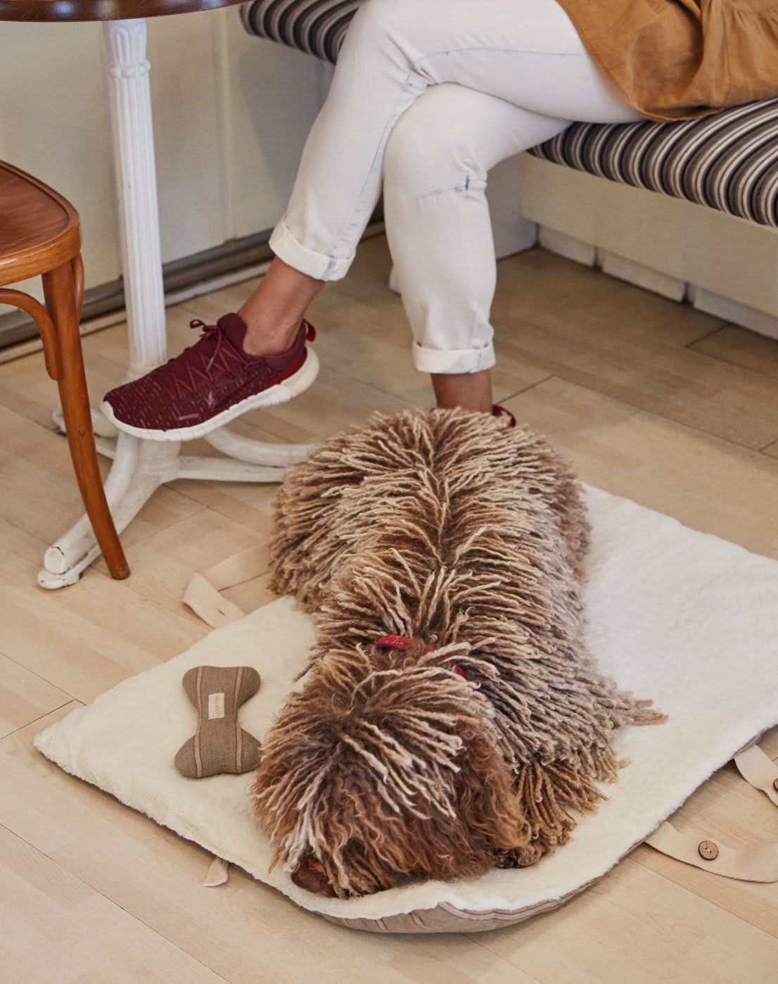 img-kave-pets-aw22-12-es.jpg