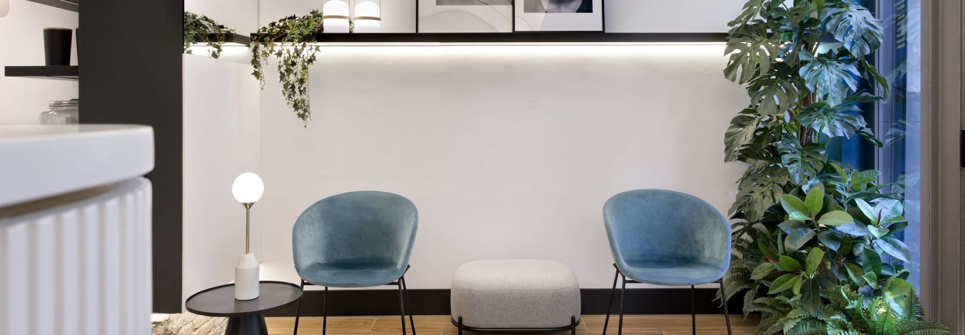 egue-seta-proyecto-kave-alma