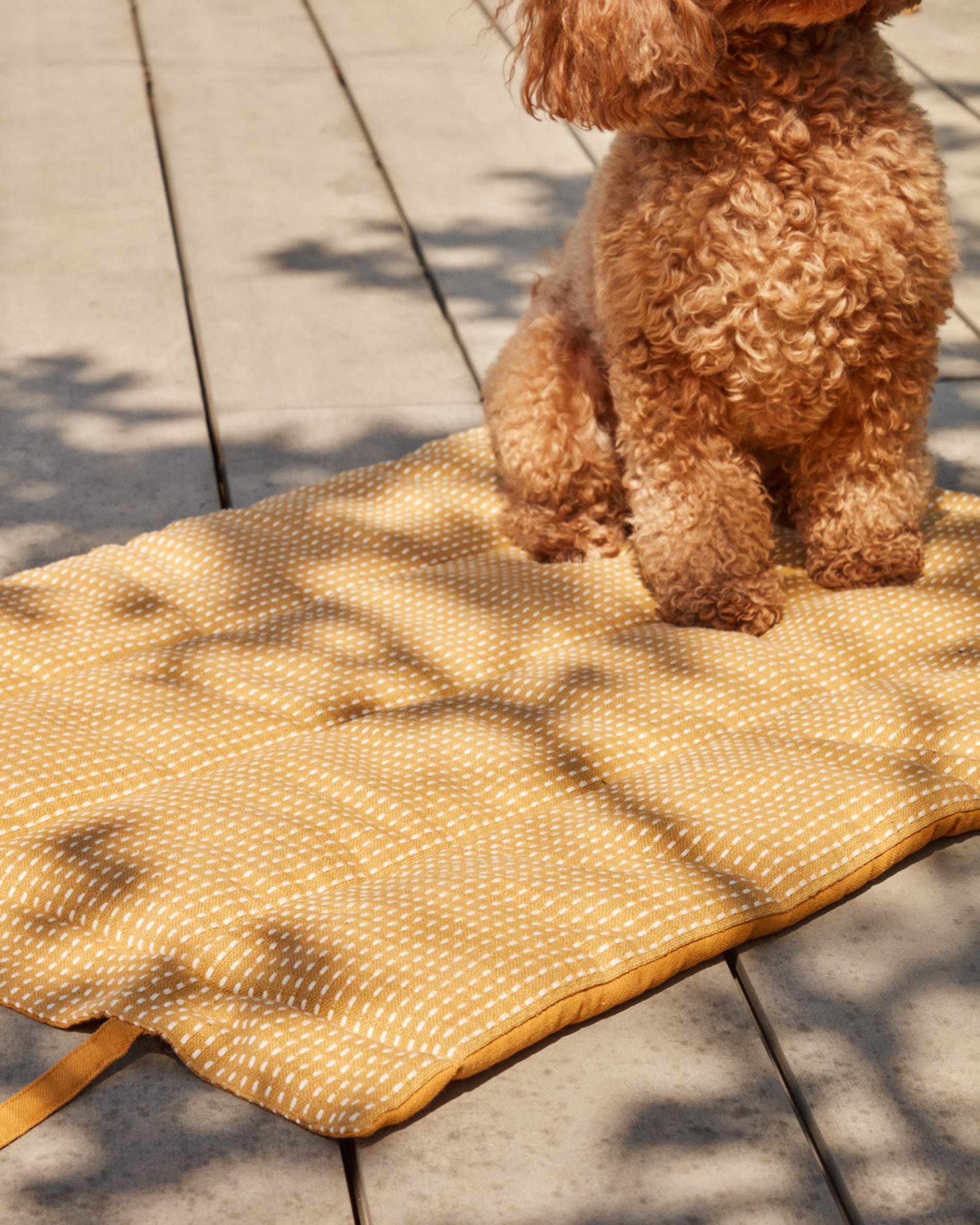Trufa 100% cotton portable pet blanket with mustard and white backstitch, 50 x 70 cm