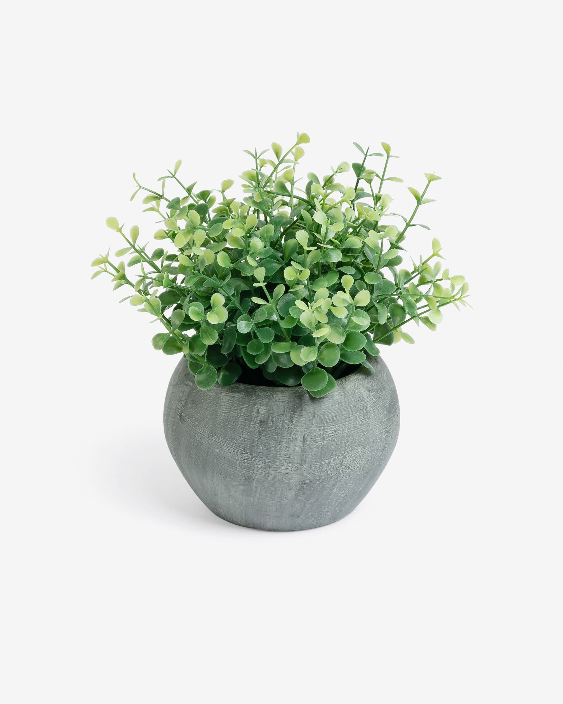 Eucaliptus artificial plant in grey pot Kave Home