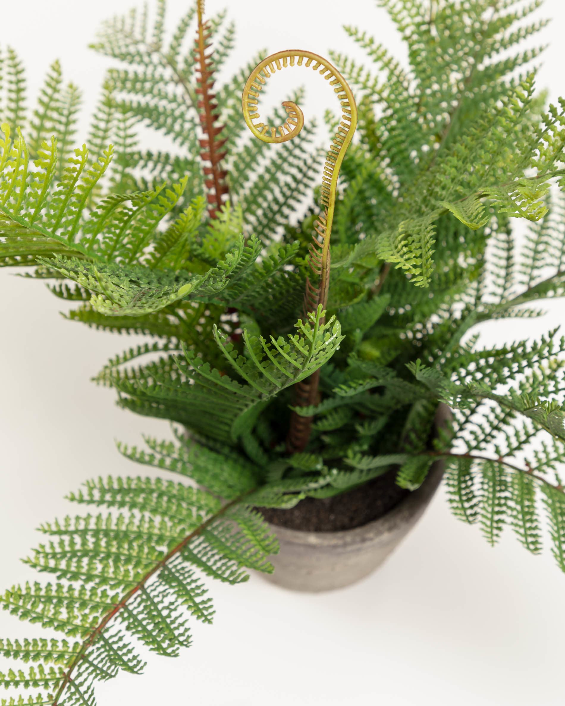 Plante artificielle Fougère — Kave Home