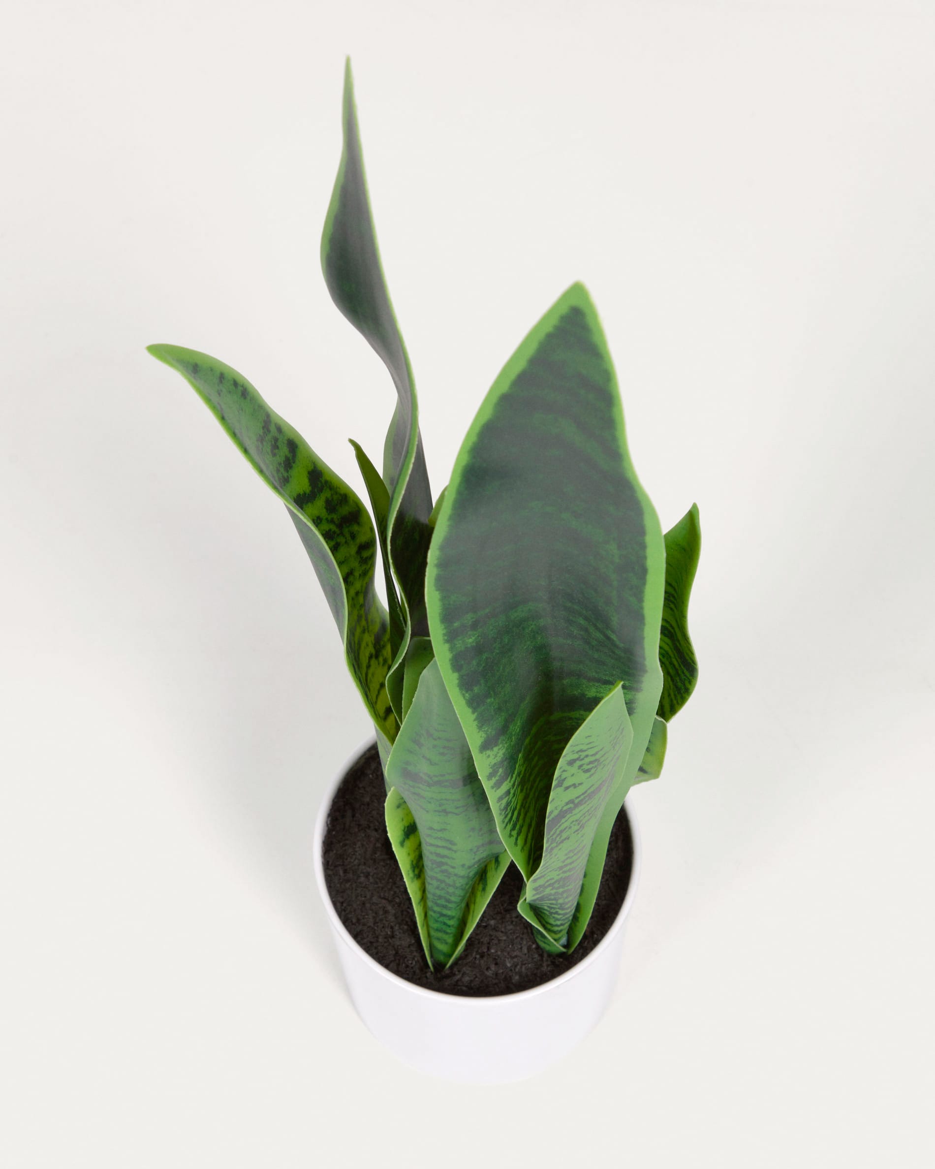 Artificial Sansevieria with white plantpot 55 cm