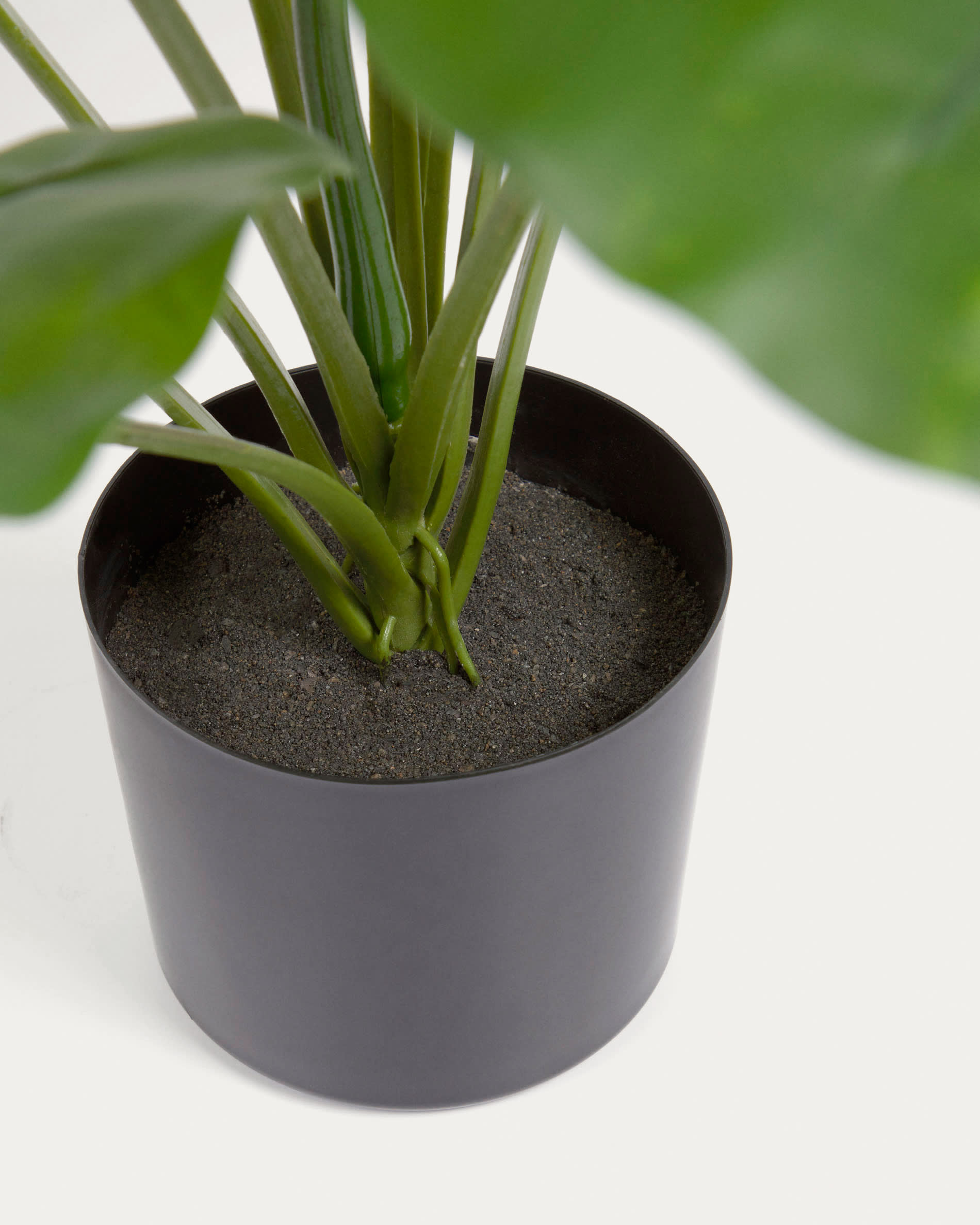 Artificial Alocasia Odora with black plantpot 57 cm