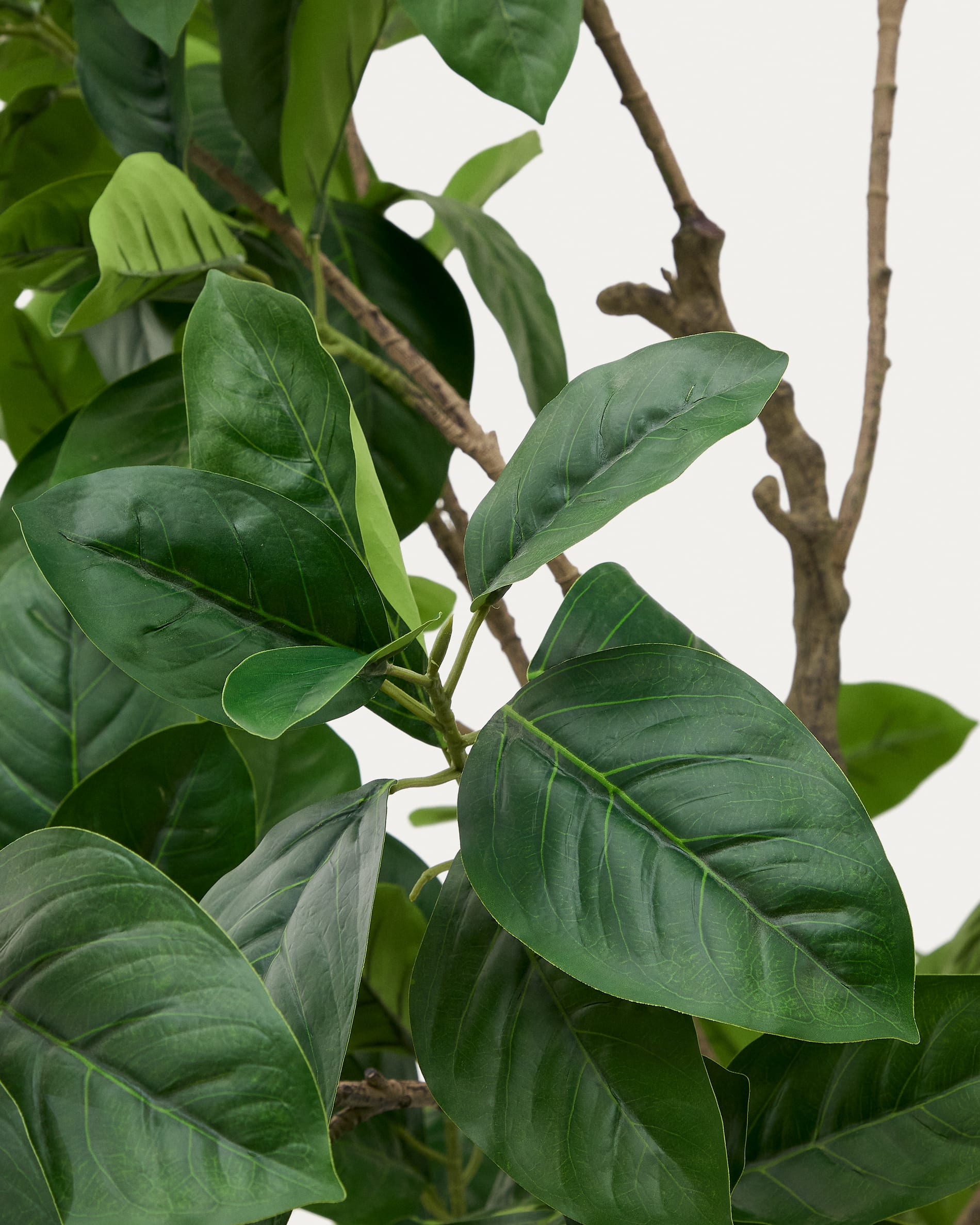 Artificial Ficus tree in black pot 210 cm