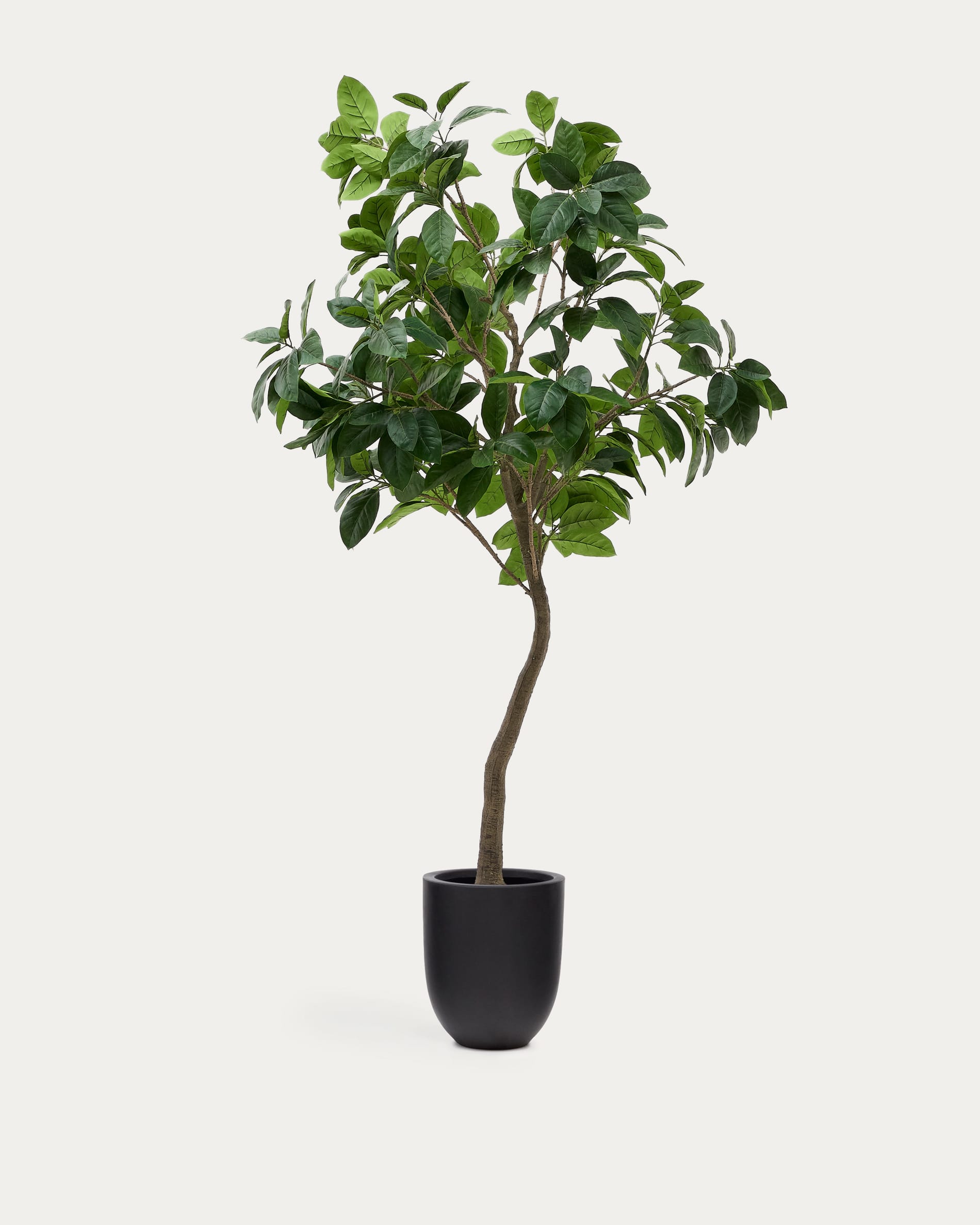 CG Hunter Albero di ficus, supporto per albero artificiale di alta qualità, alto 1,8 m, foglie realistiche e tronco dipinto a mano, vaso in plastica nera incluso
