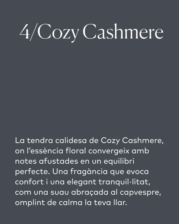 Cozy Cashmere/4