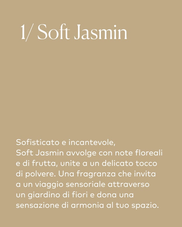 Soft Jasmine/1