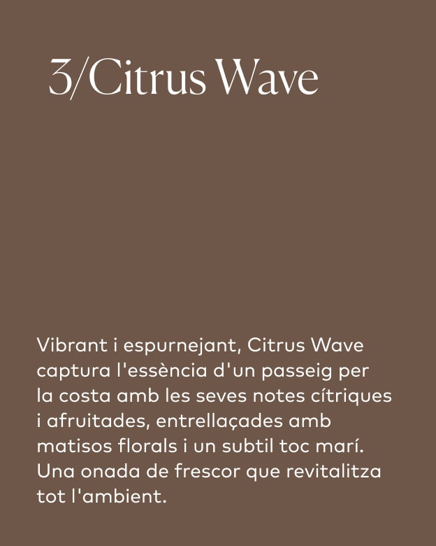 Citrus Wave/3