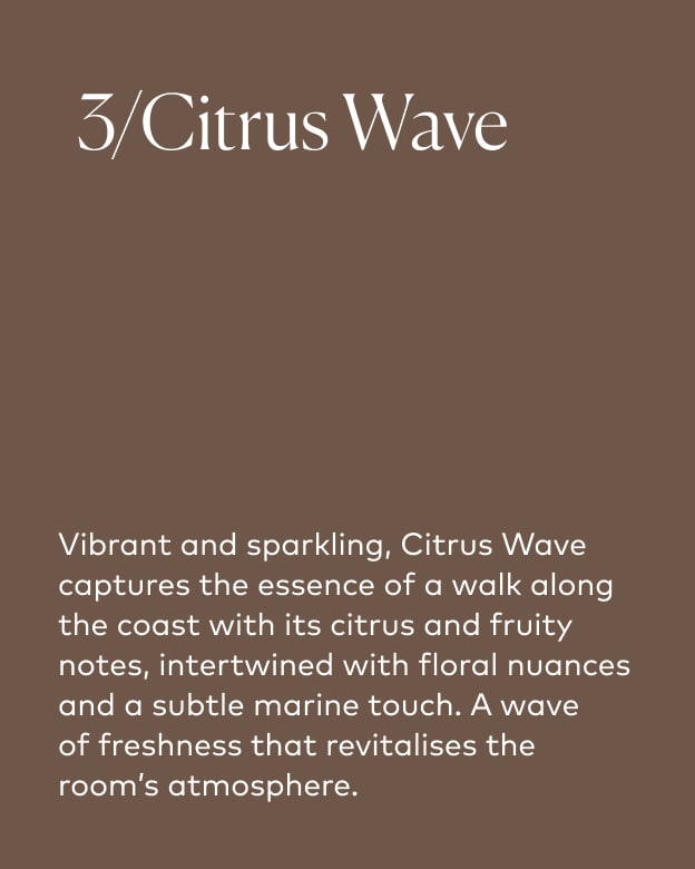 Citrus Wave/3