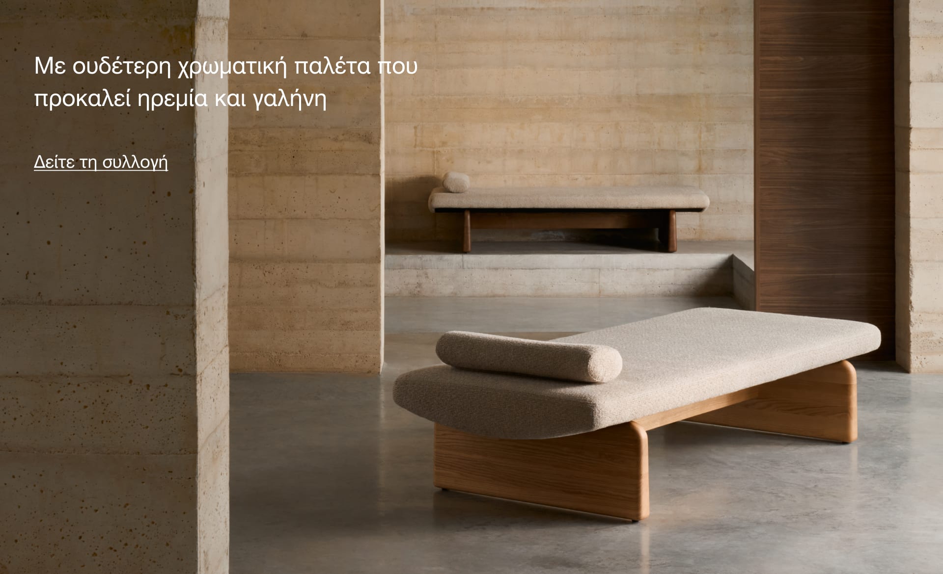Topaz Premium Collection 2024