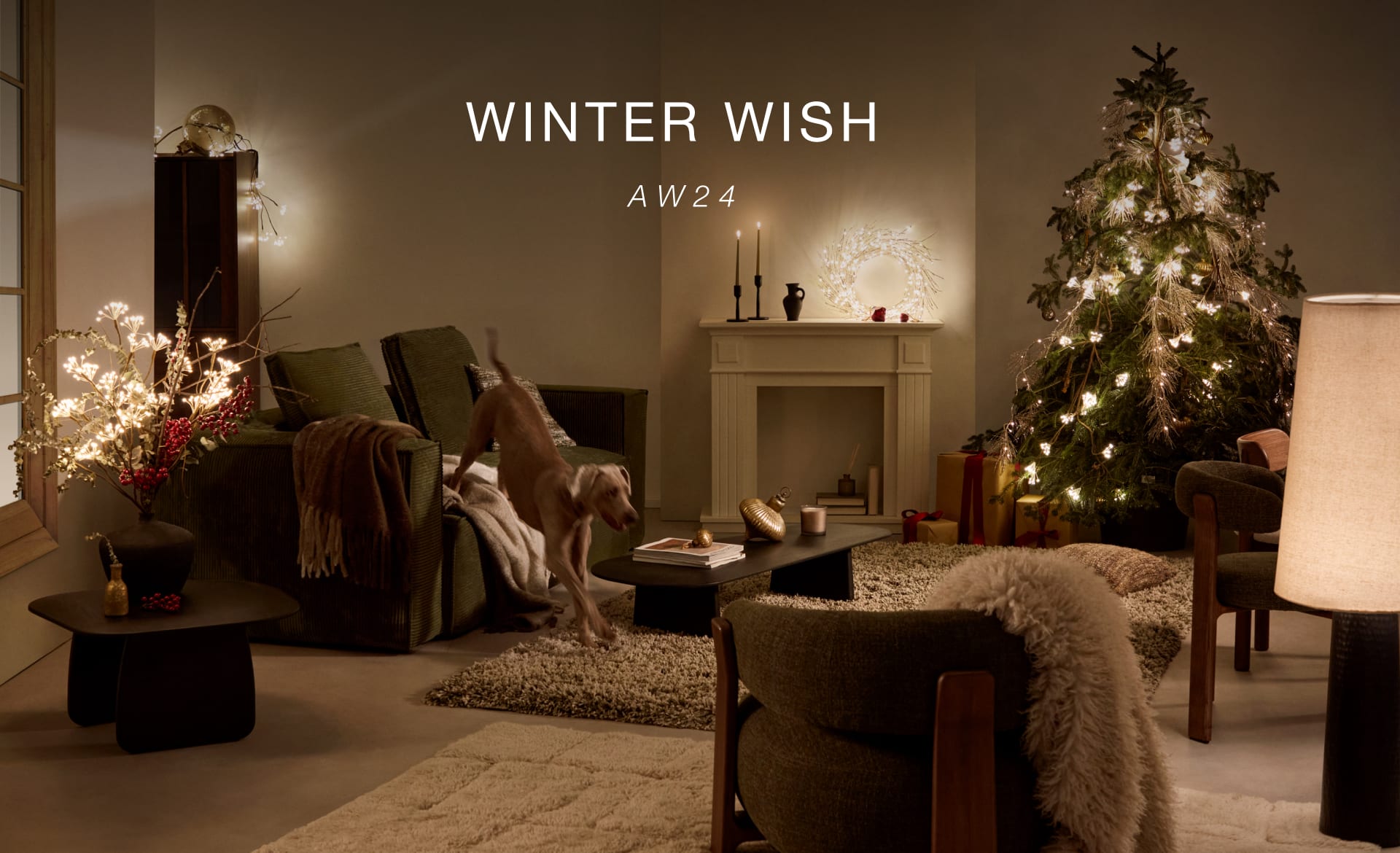 Winter wish 24