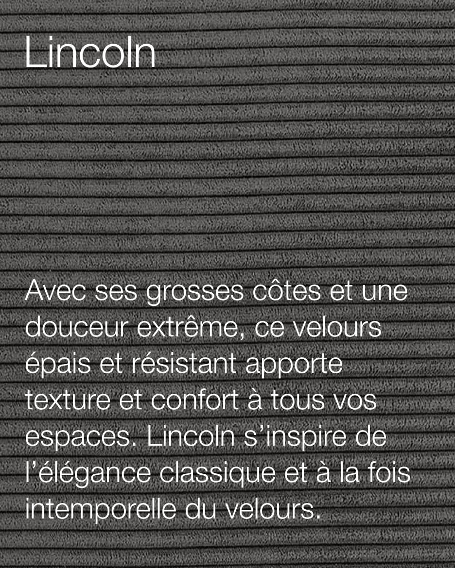 Lincon Sample