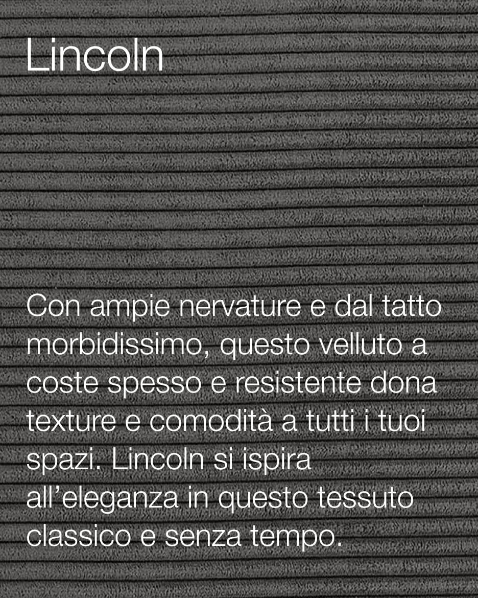Lincon Sample