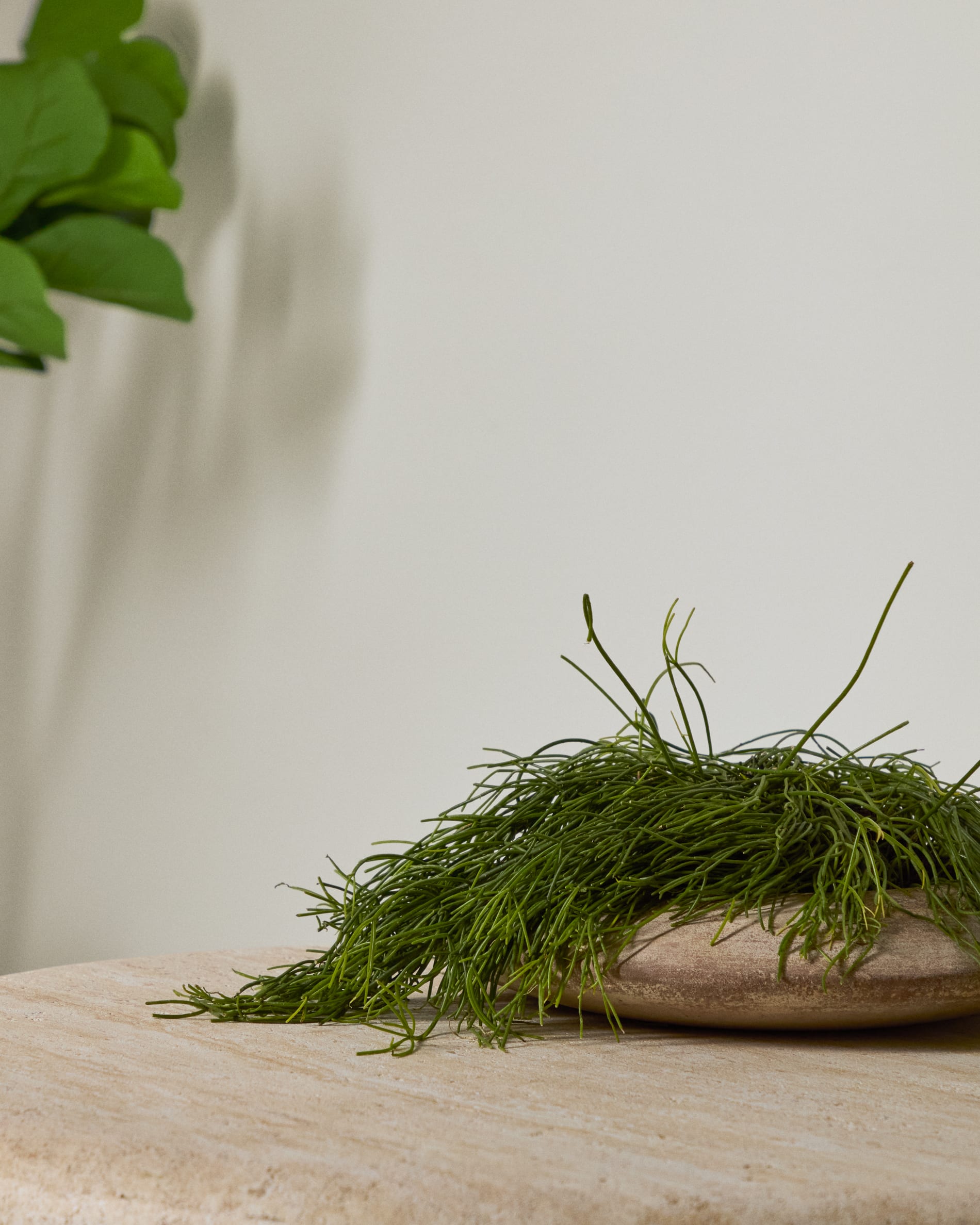 Rivor terracotta planter with natural finish Ø 50cm