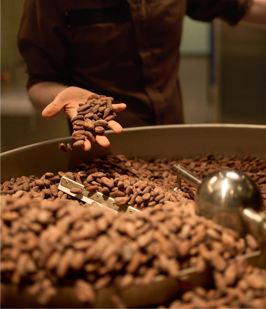 https://d.media.kavehome.com/image/upload/v1743408009/cms/landing-casa-cacao-img-05.jpg