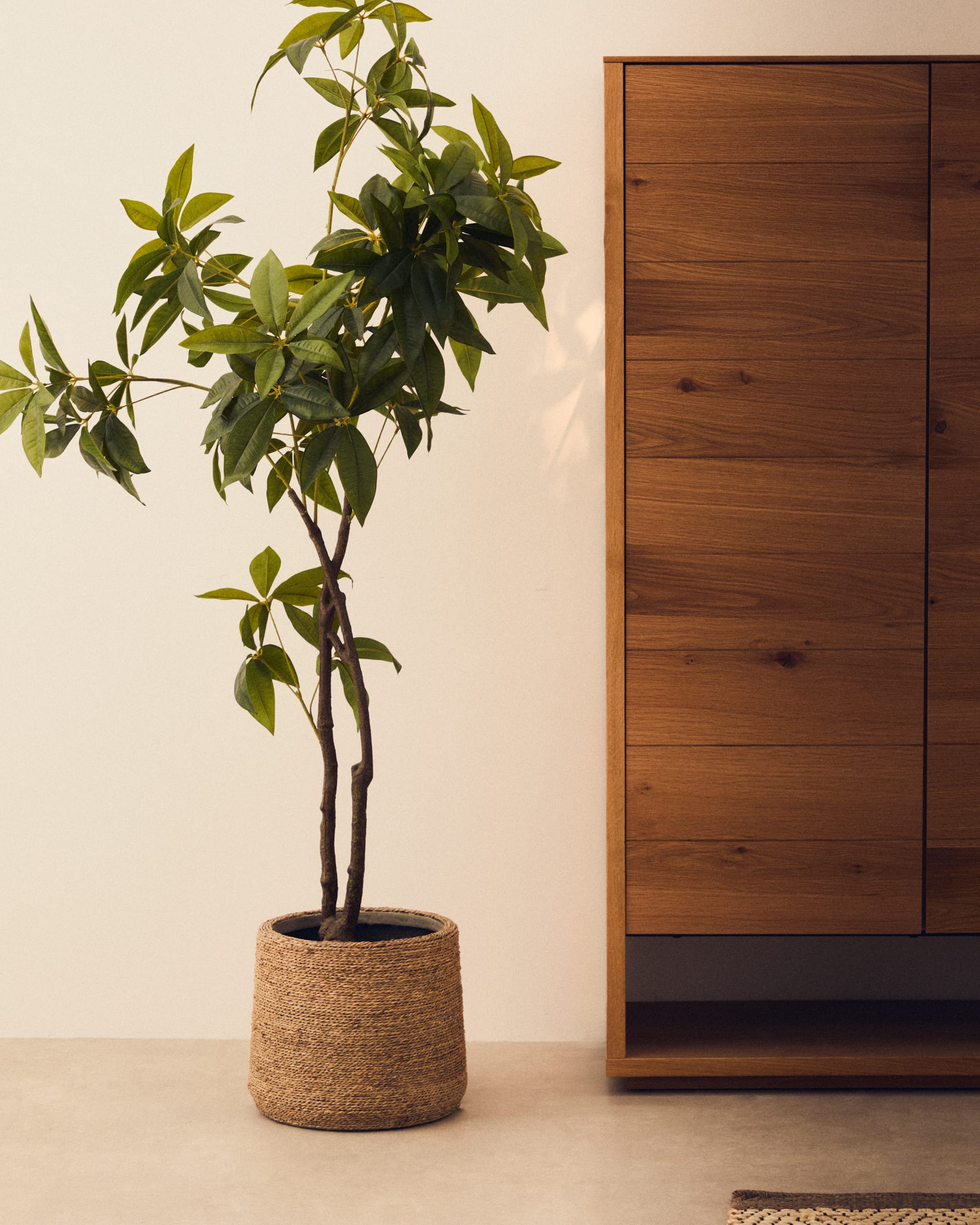 Artificial Pachira tree in black pot 180 cm