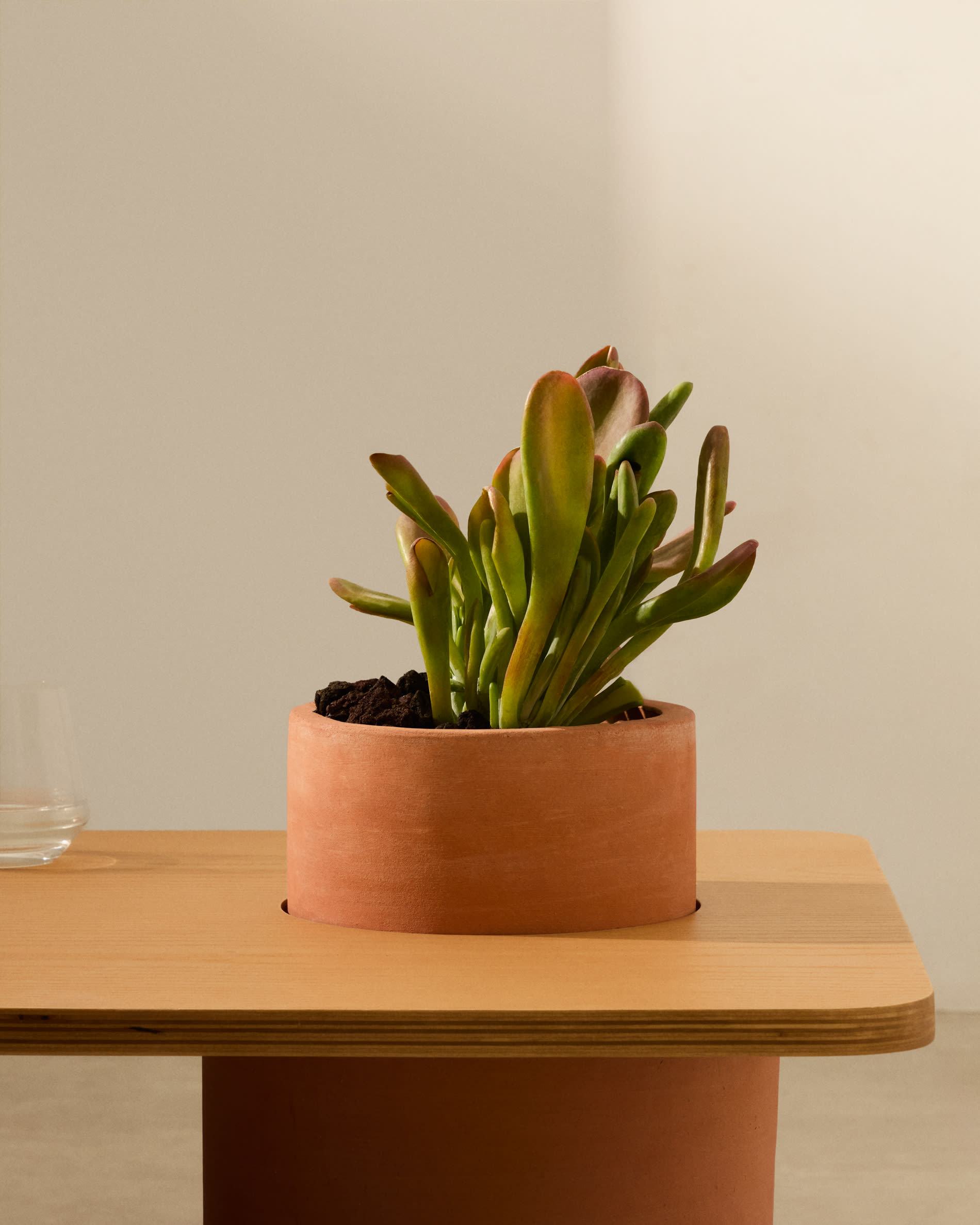 Olaria terracotta coffee table with an oak veneer in a natural finish, 110 x 60 cm