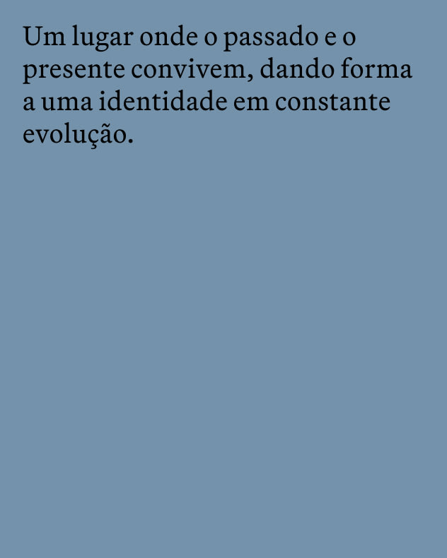 Copy Pasado y Presente ILCB