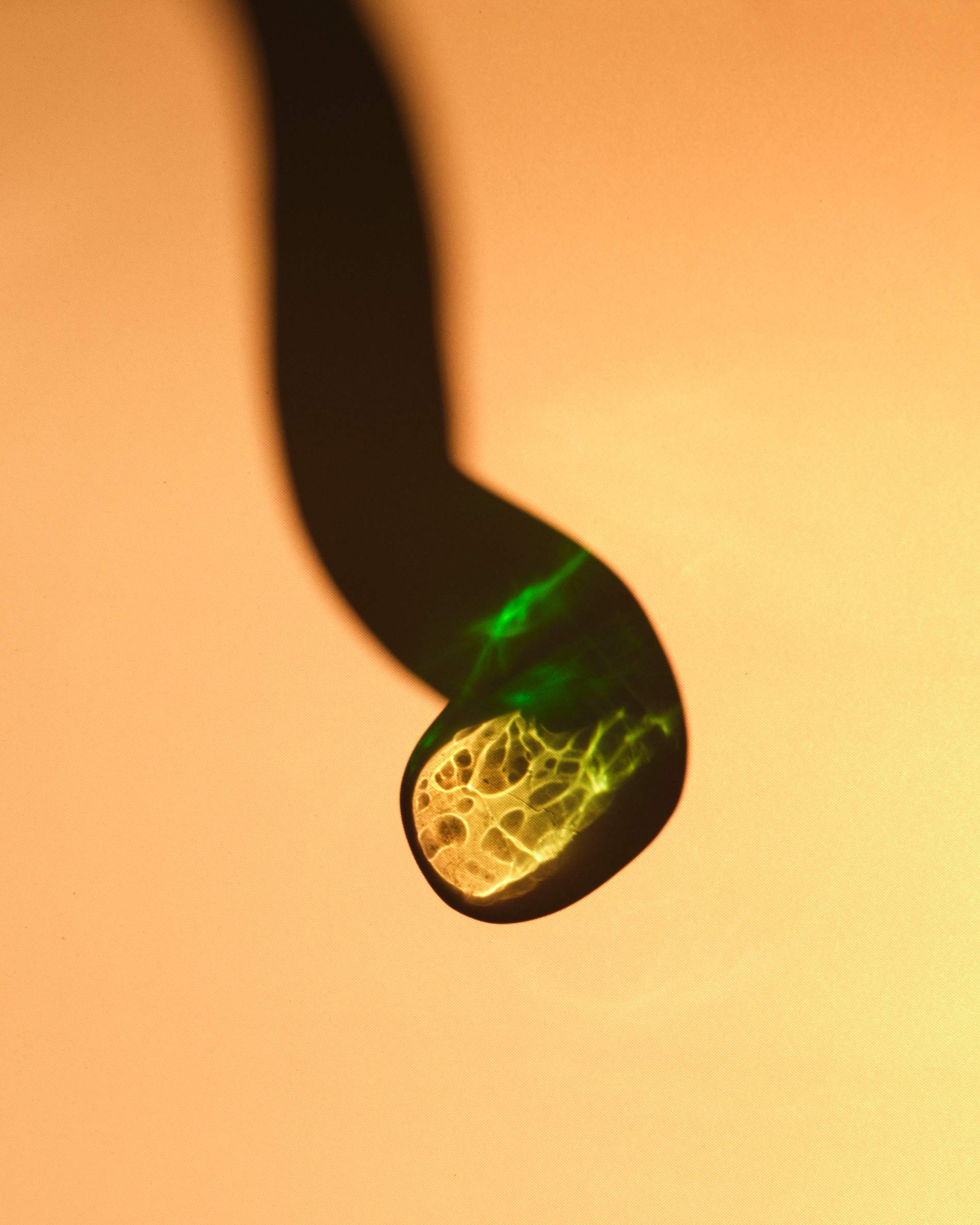 Lung Green 1.0