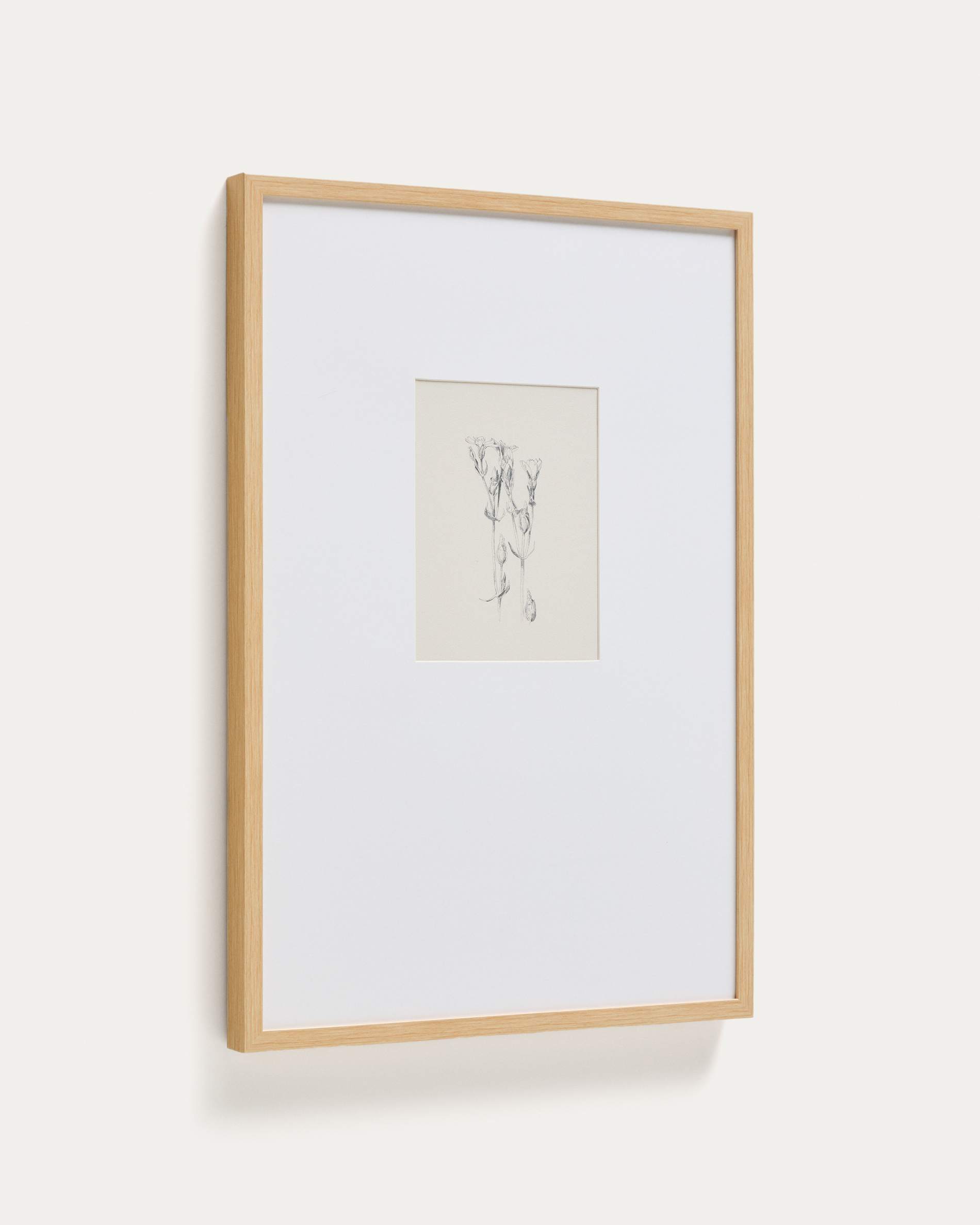Lirena picture with botanical illustration 50 x 70cm