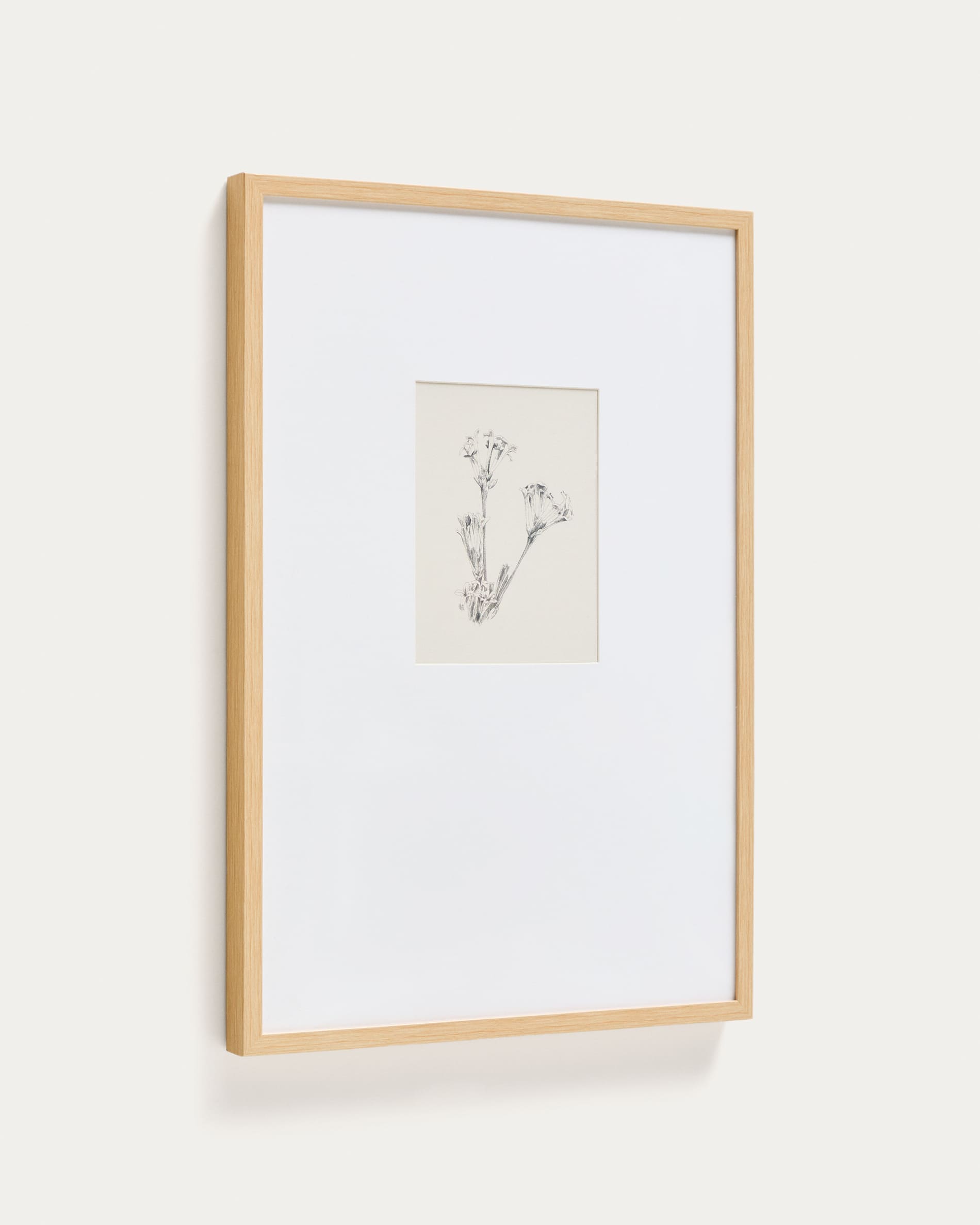 Lirena picture with botanical illustration 50 x 70cm
