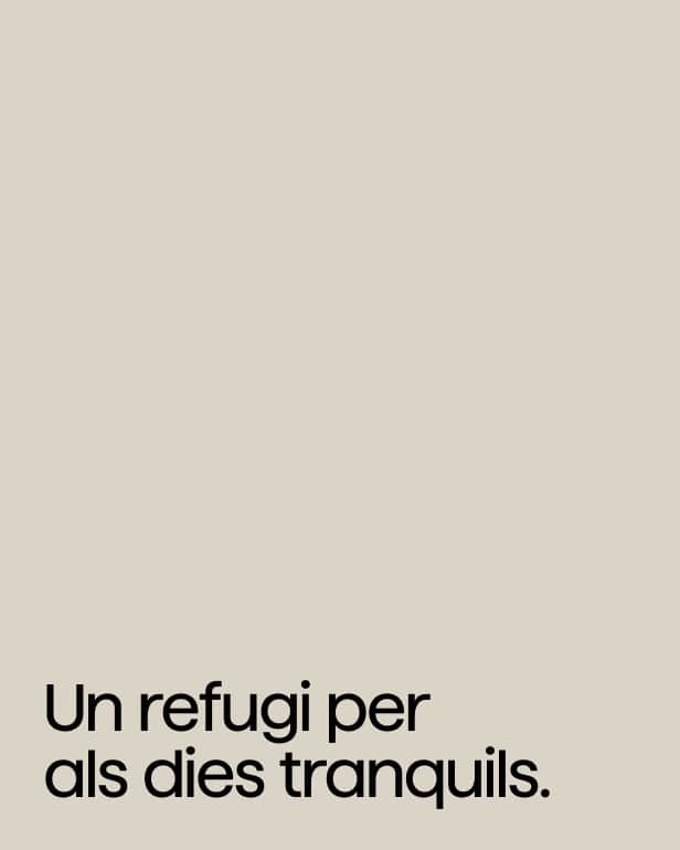 Copy - Oda Sensación