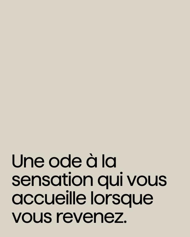 Copy - Oda Sensación