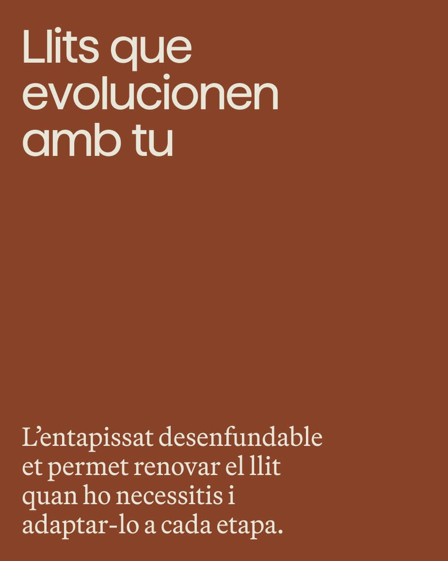 COPY - EVOLUCIÓN CAMAS
