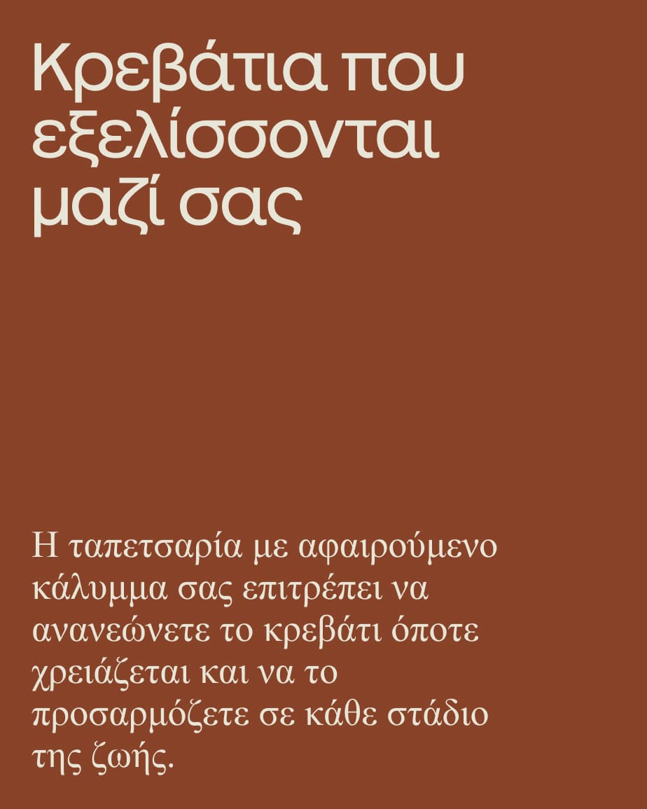 COPY - EVOLUCIÓN CAMAS