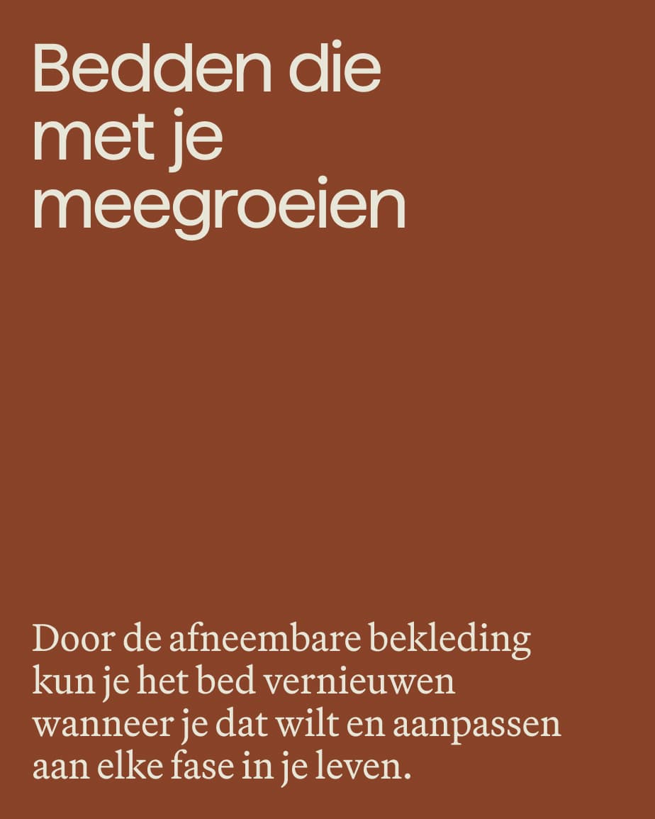 COPY - EVOLUCIÓN CAMAS