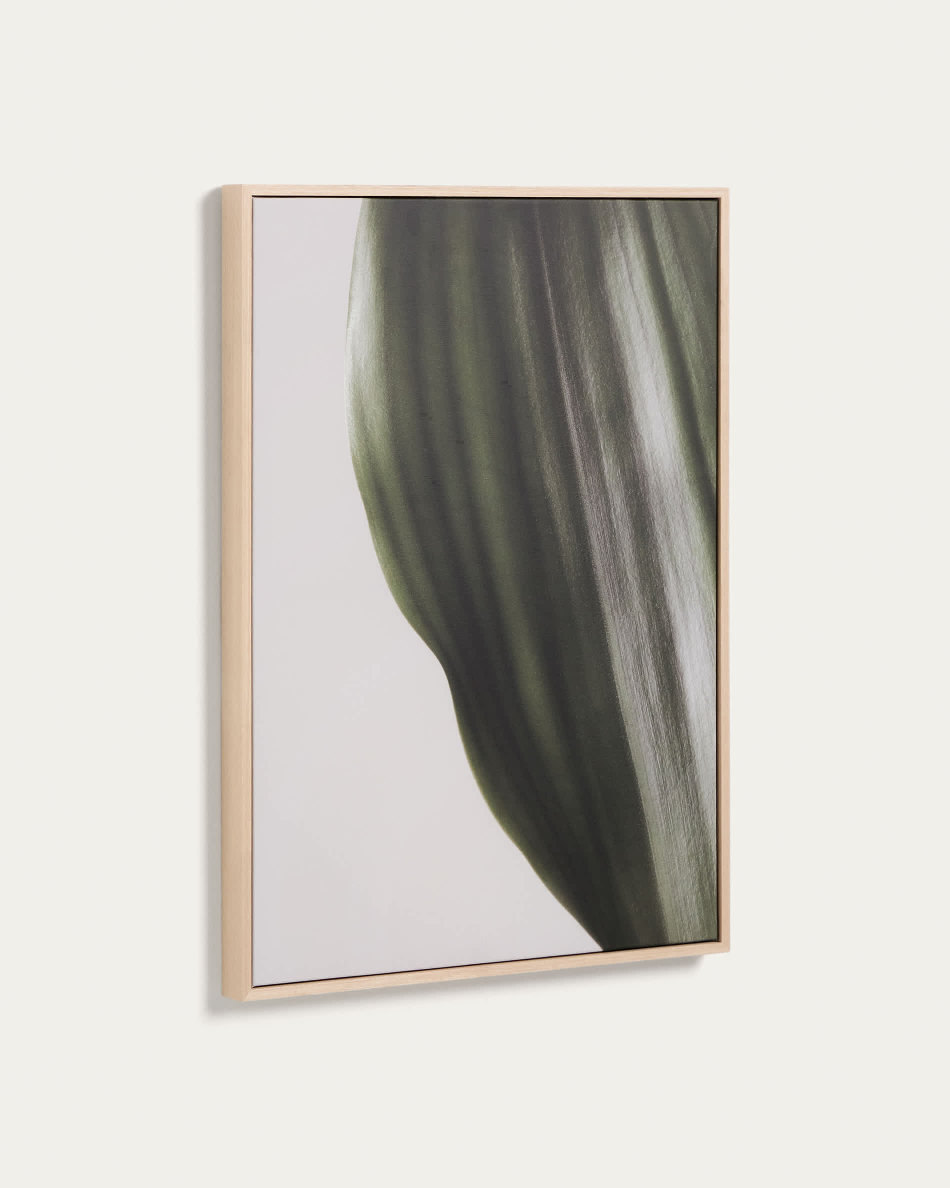Foliae leaf photograph picture 52 x 72cm