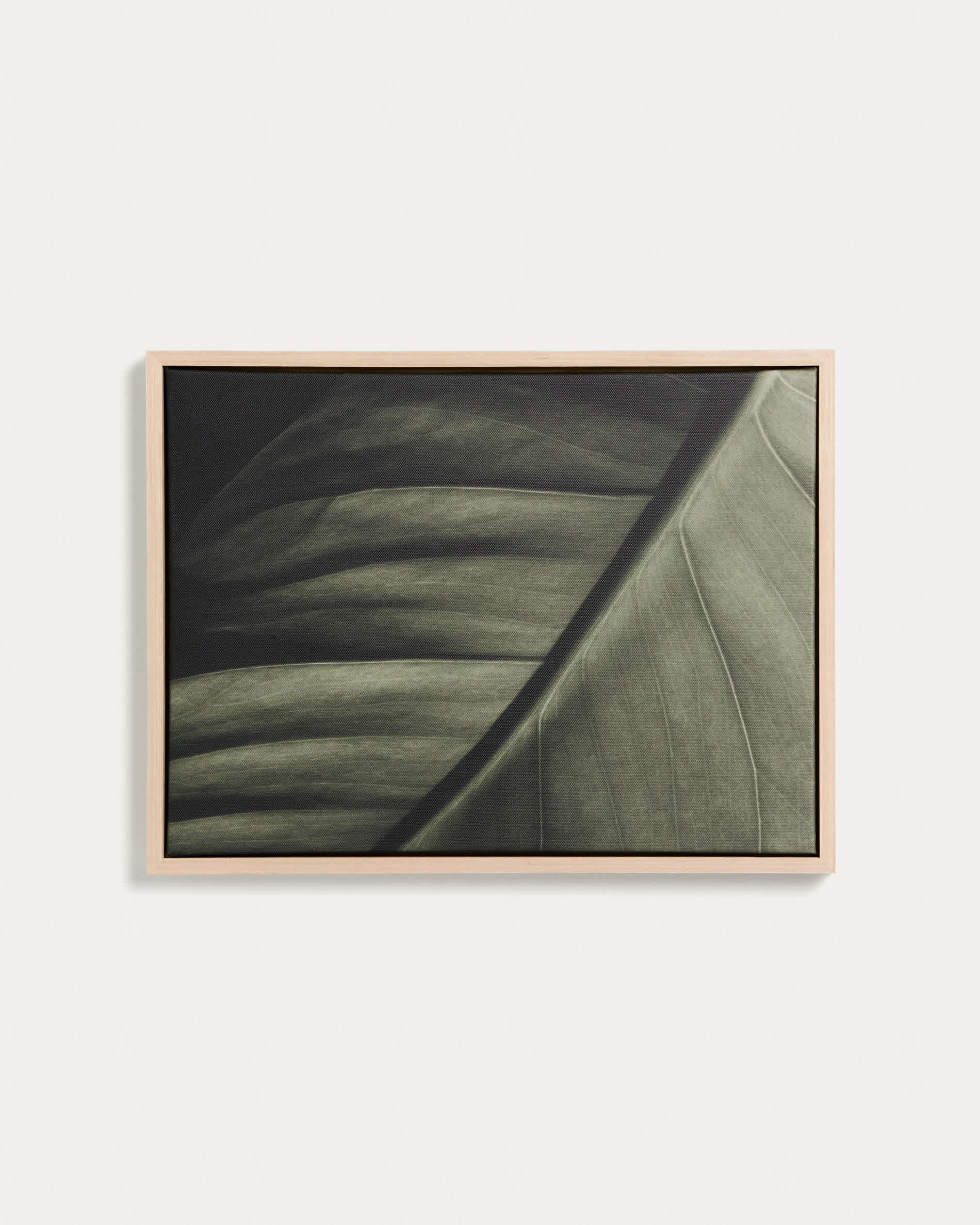 Foliae leaf photograph picture 32.5 x 42.5cm