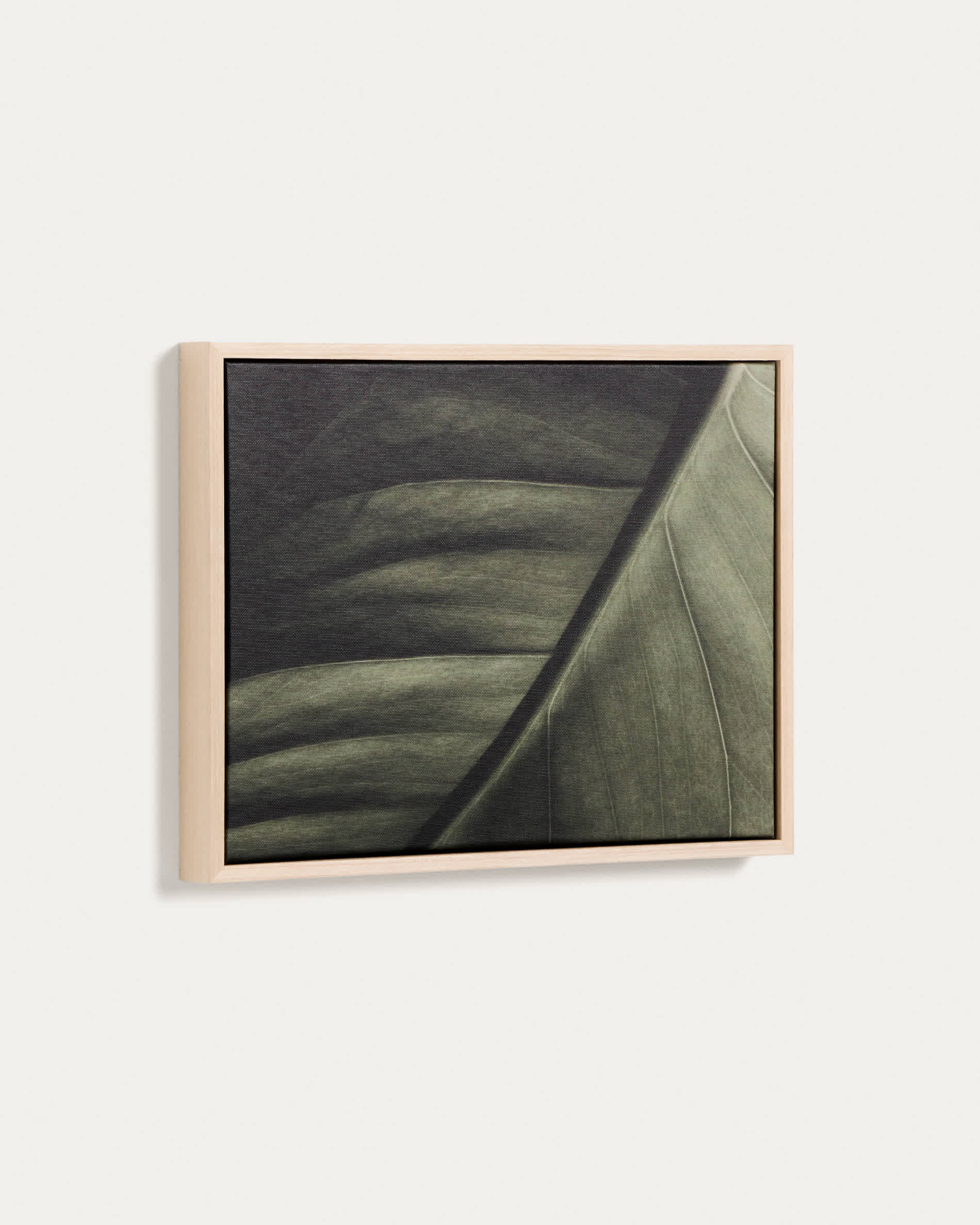 Foliae leaf photograph picture 32.5 x 42.5cm