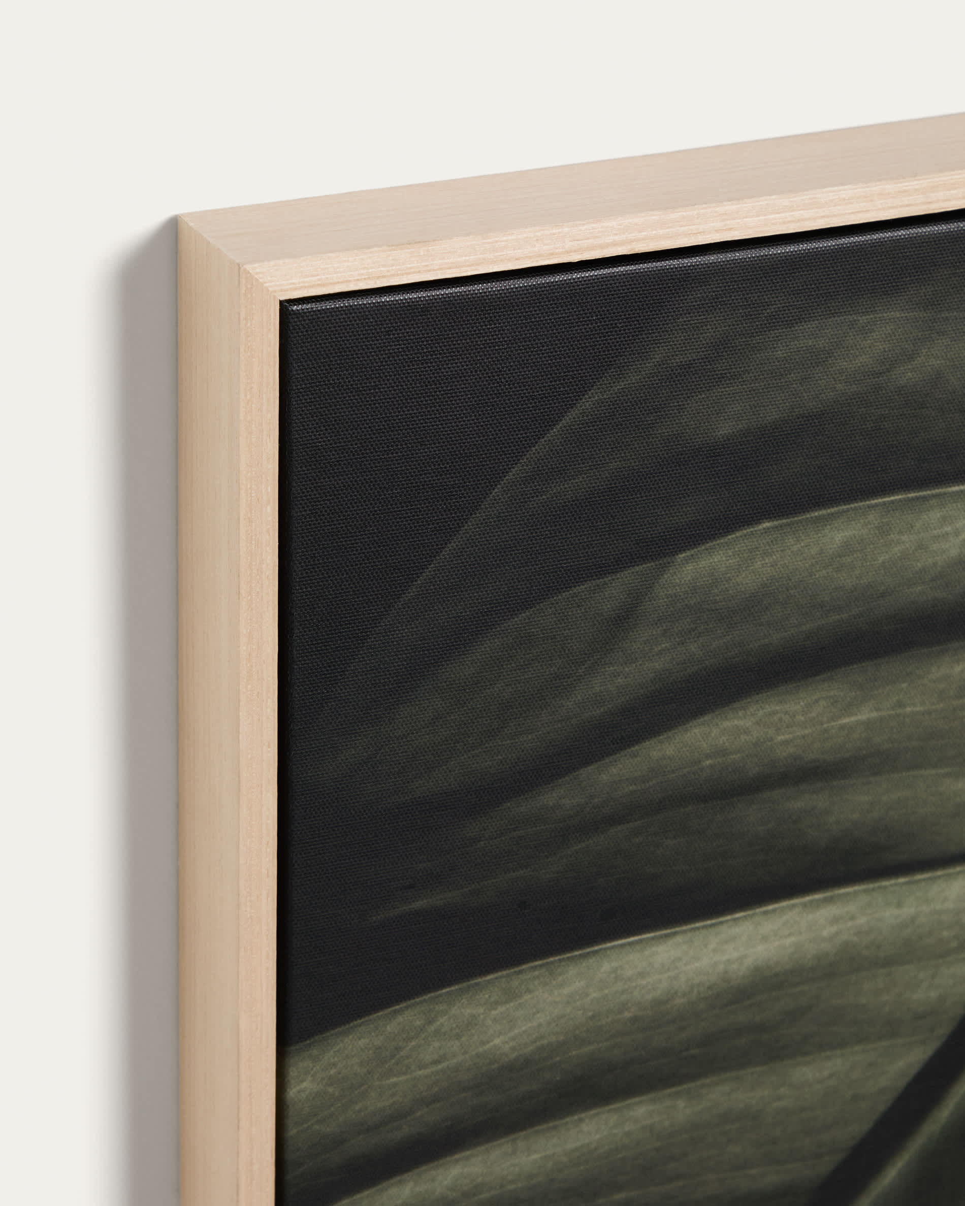 Foliae leaf photograph picture 32.5 x 42.5cm