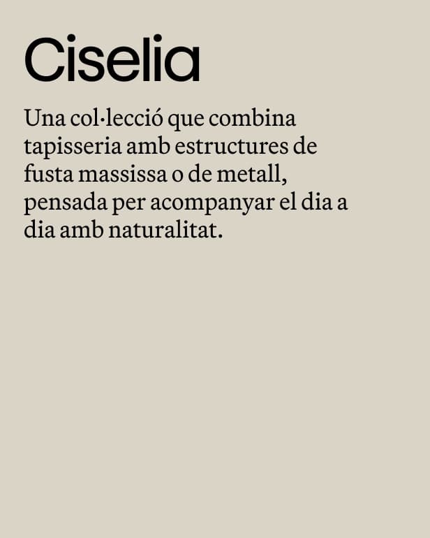 COPY - CISELIA
