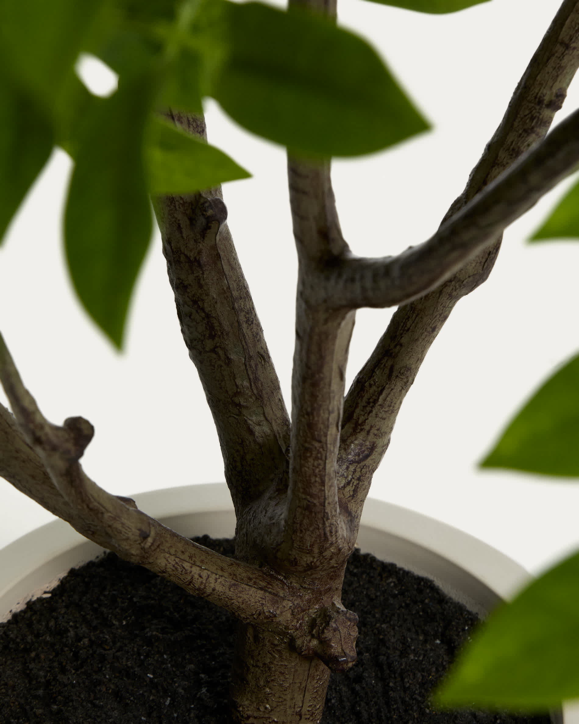Artificial Rhus tree with white pot 185cm