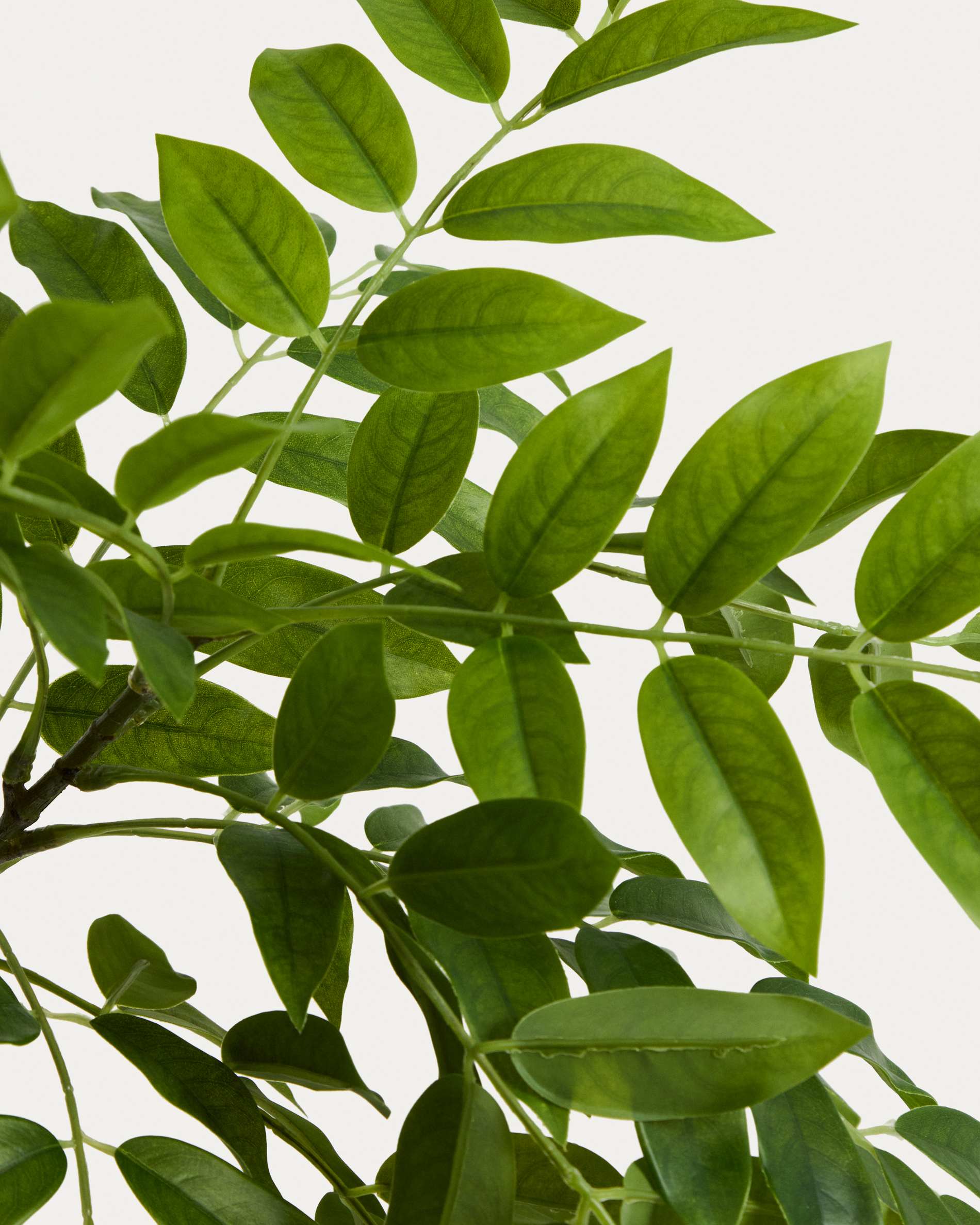 Artificial Rhus tree with white pot 185cm