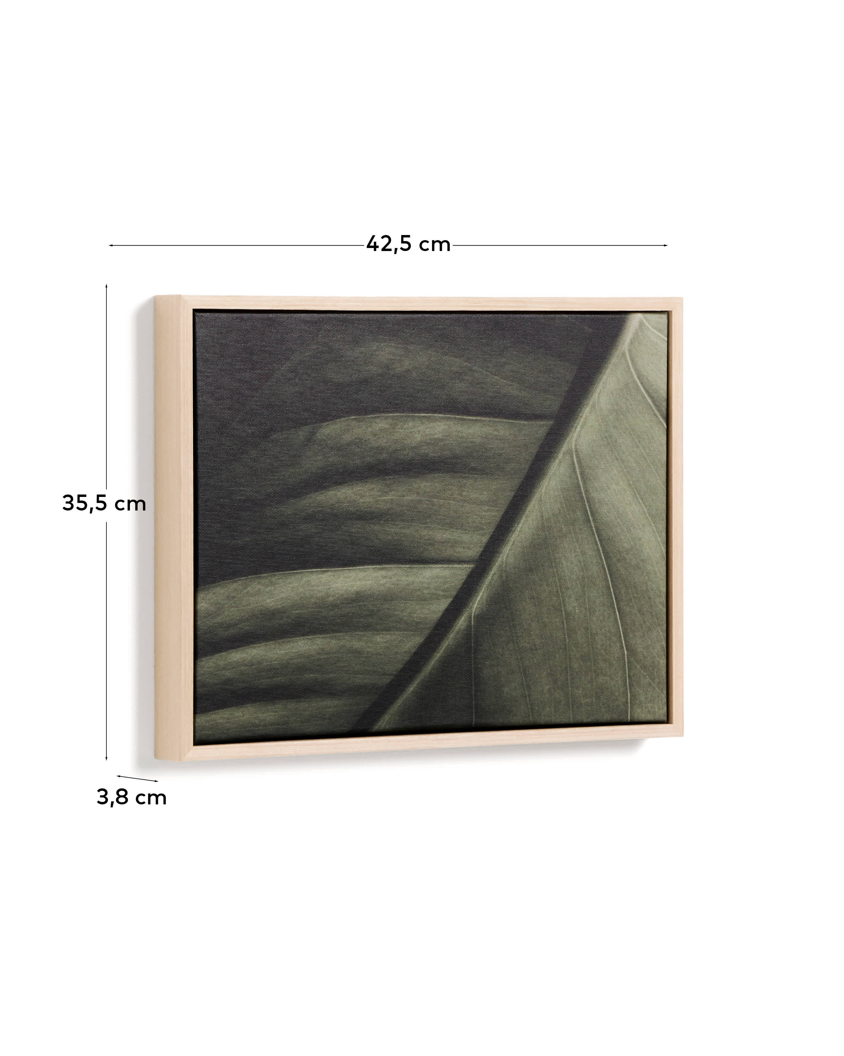 Foliae leaf photograph picture 32.5 x 42.5cm