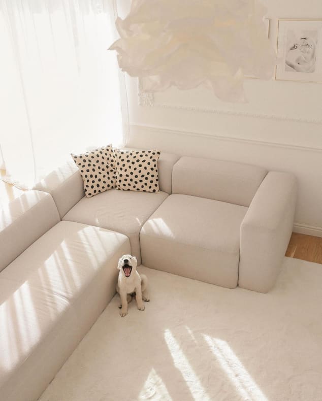 Beige chenille Blok corner sofa with a yawning dog.