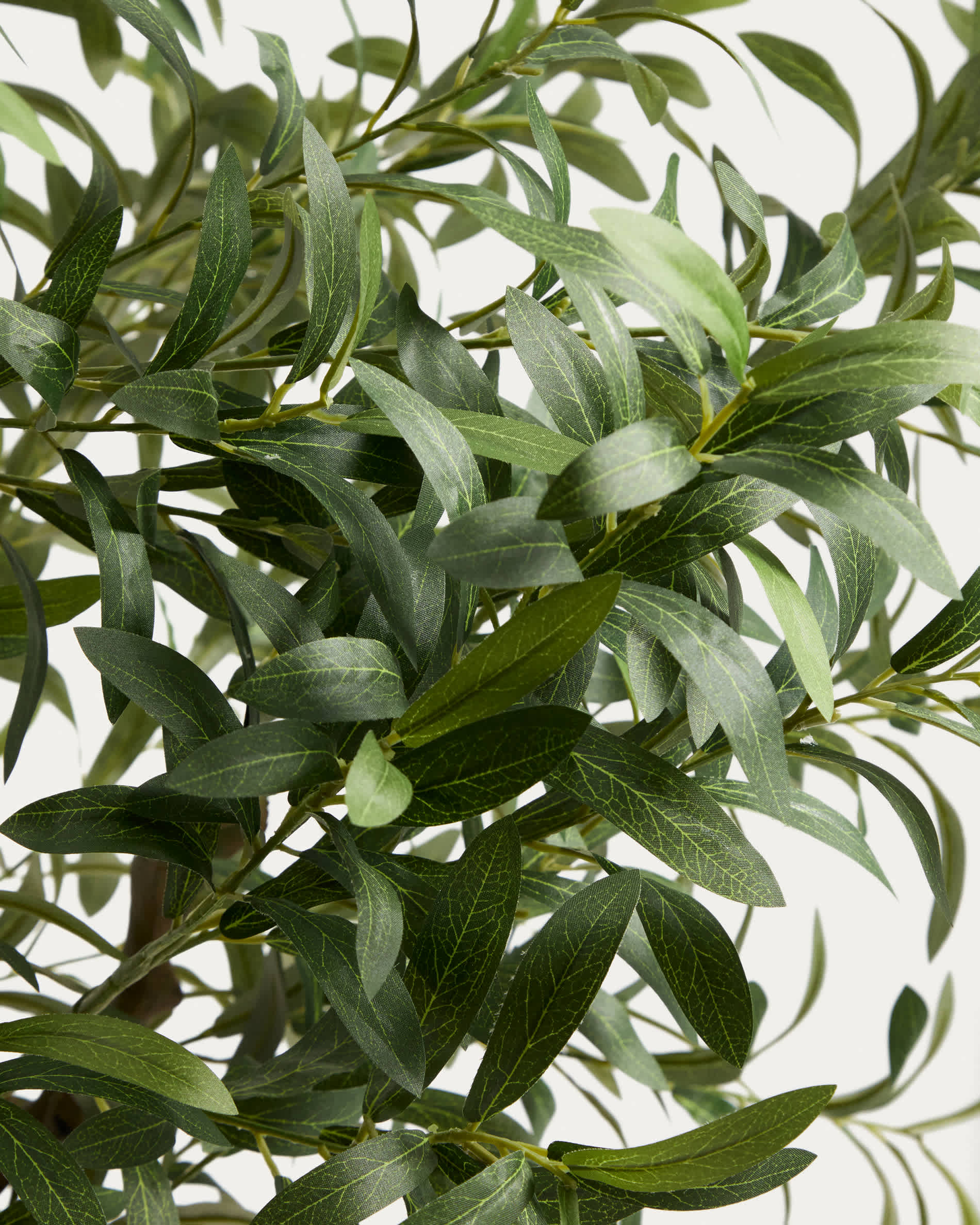 Artificial Olive tree with white pot 250cm