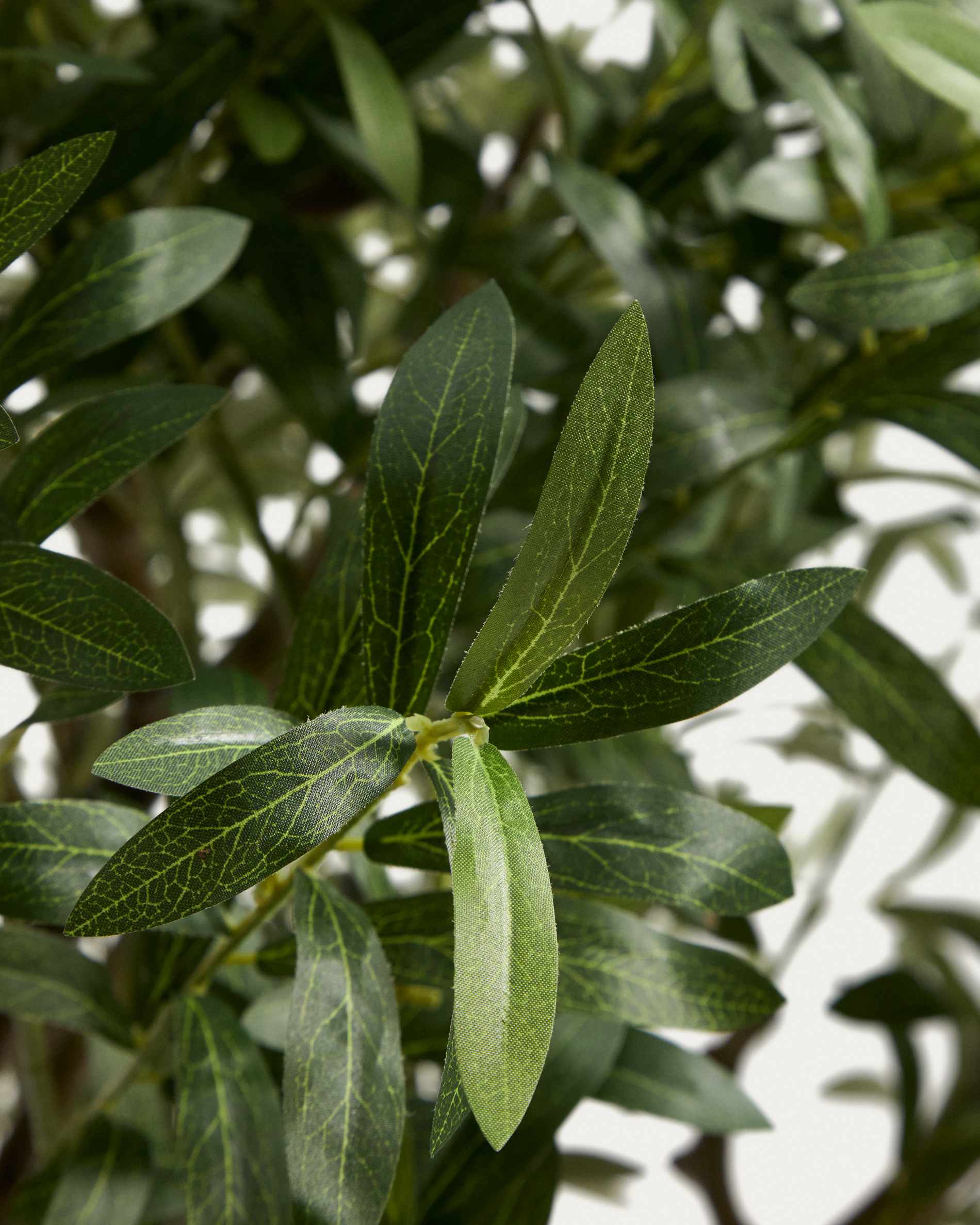 Artificial Olive tree with white pot 250cm