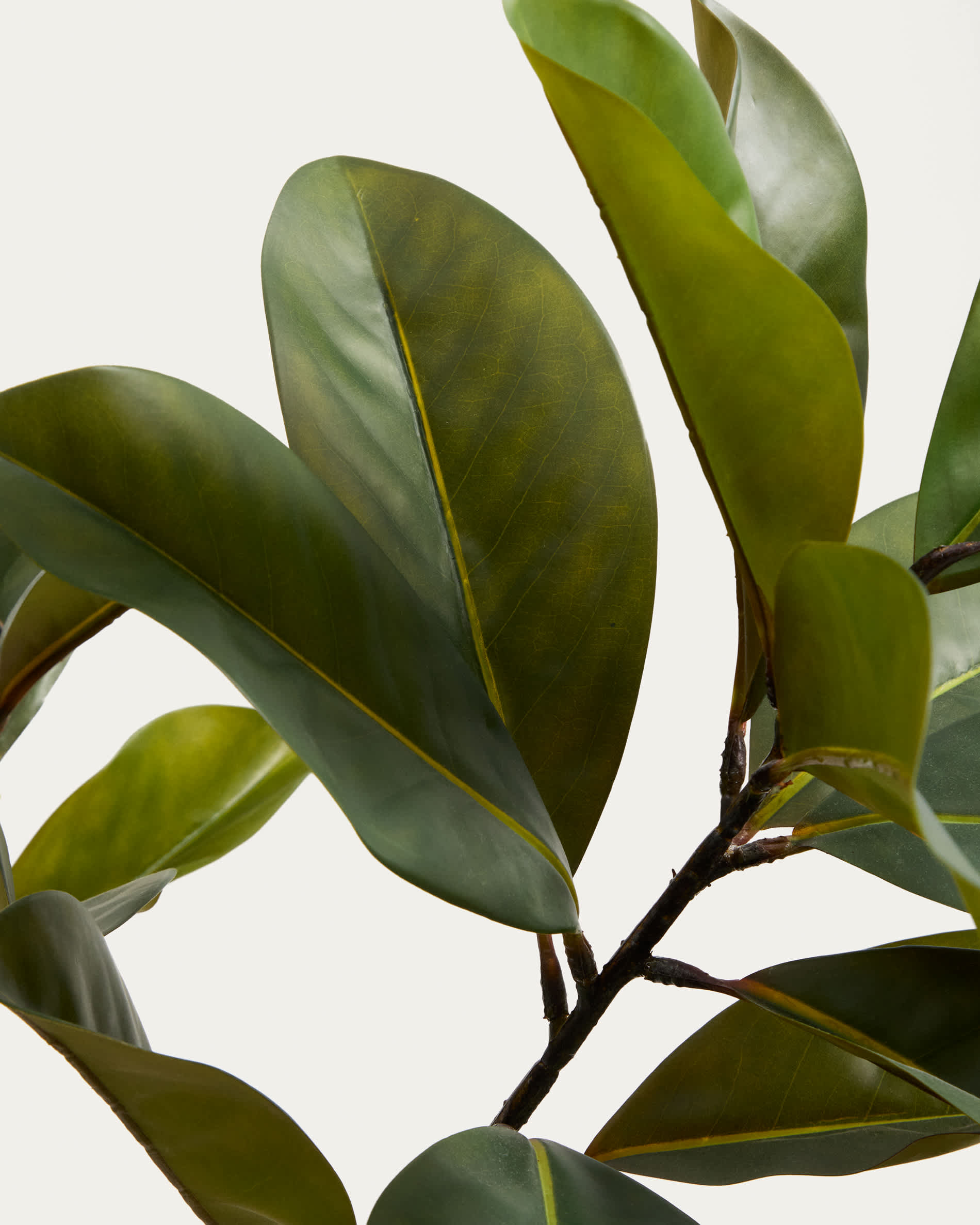 Artificial Magnolia tree with white pot 160cm
