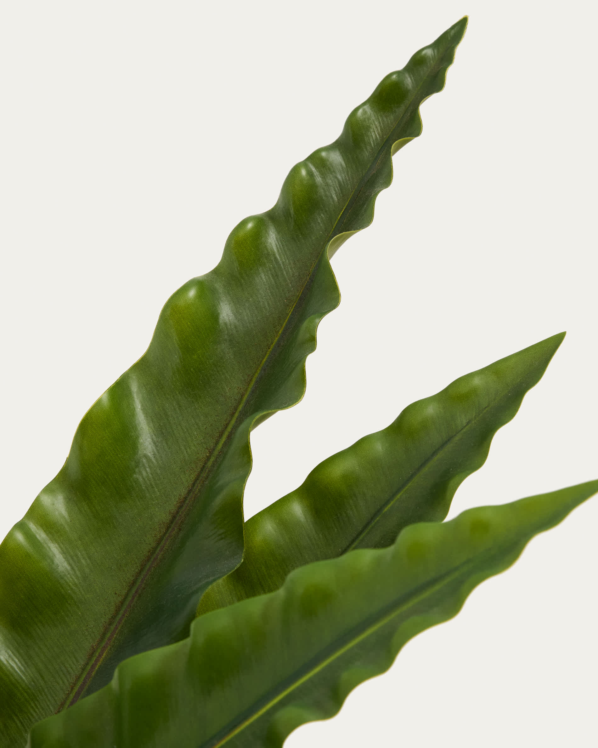 Artificial Neottopteris plant with white pot 70cm