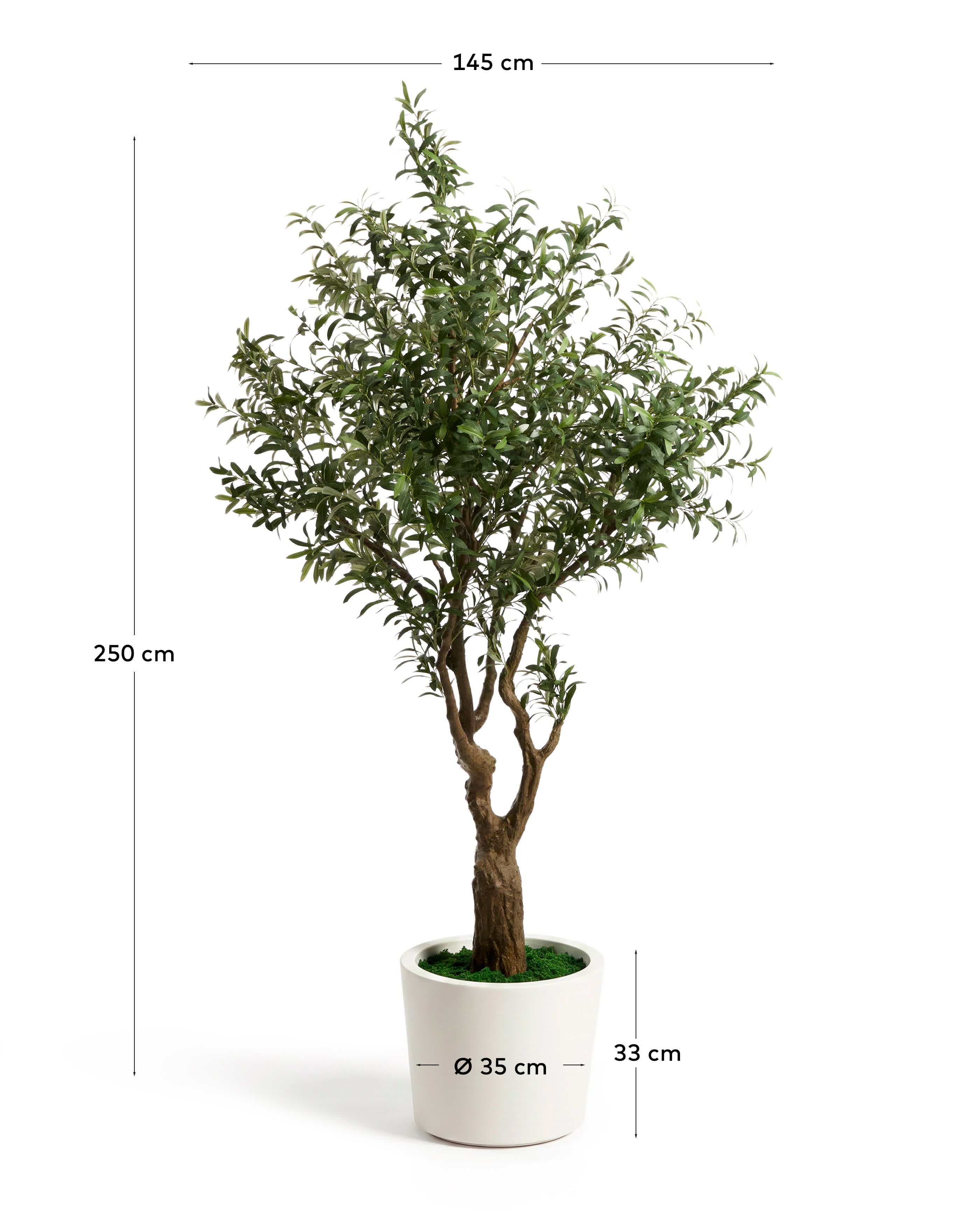 Artificial Olive tree with white pot 250cm