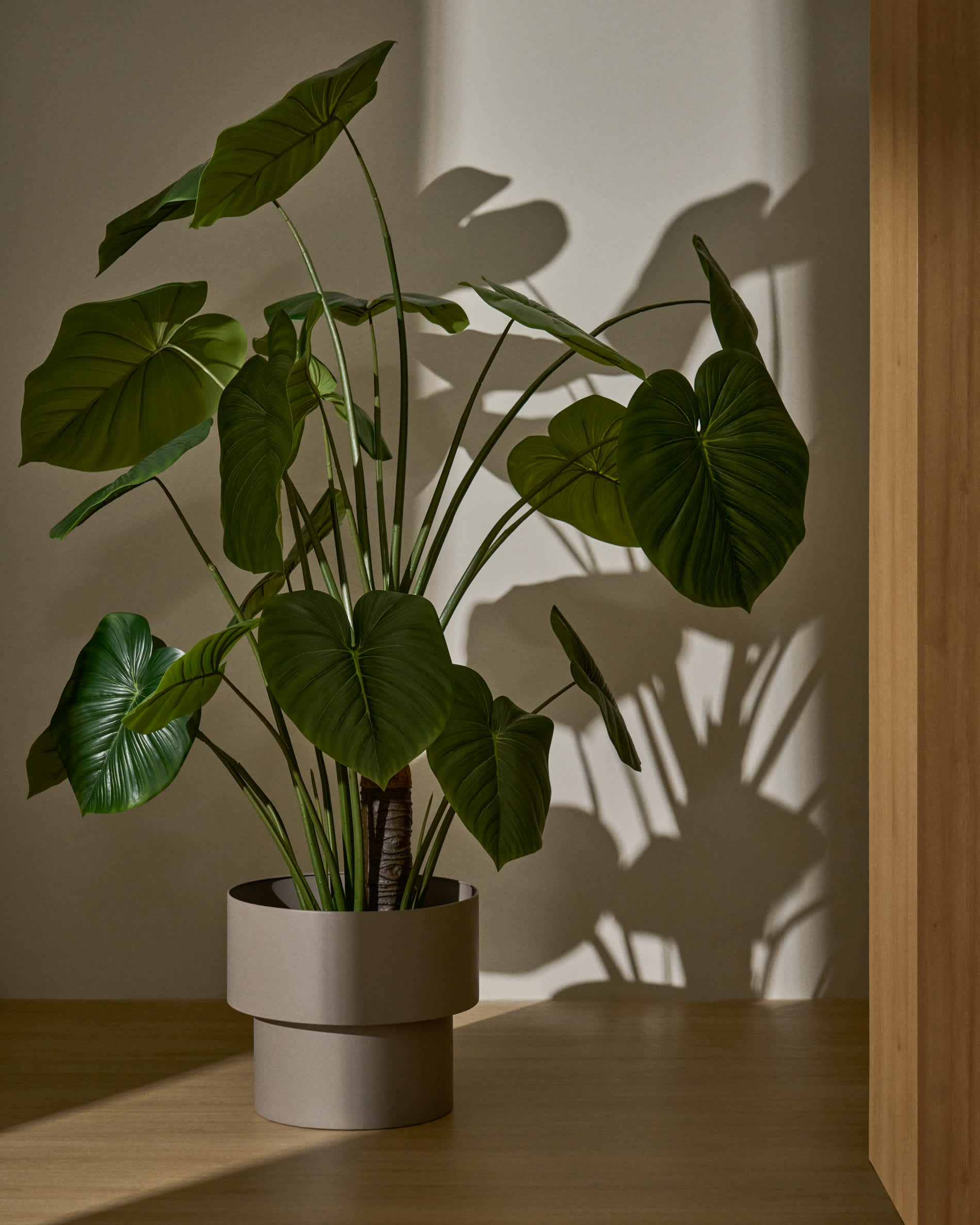 Plante artificielle Monstera avec pot — Kave Home