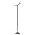 Orey Stehlampe