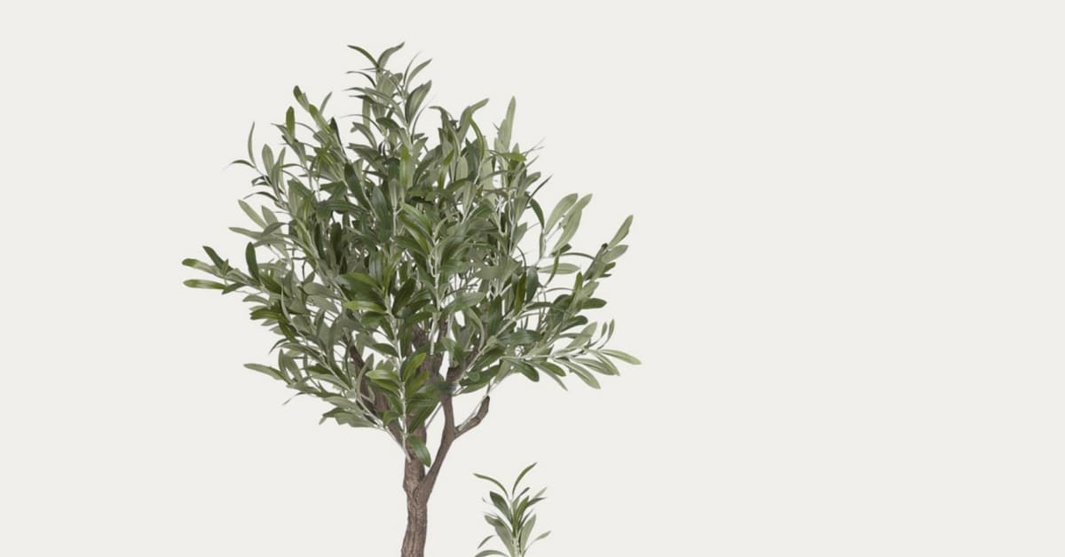 Planta artificial Olivo con maceta negro 140 cm | Kave Home®